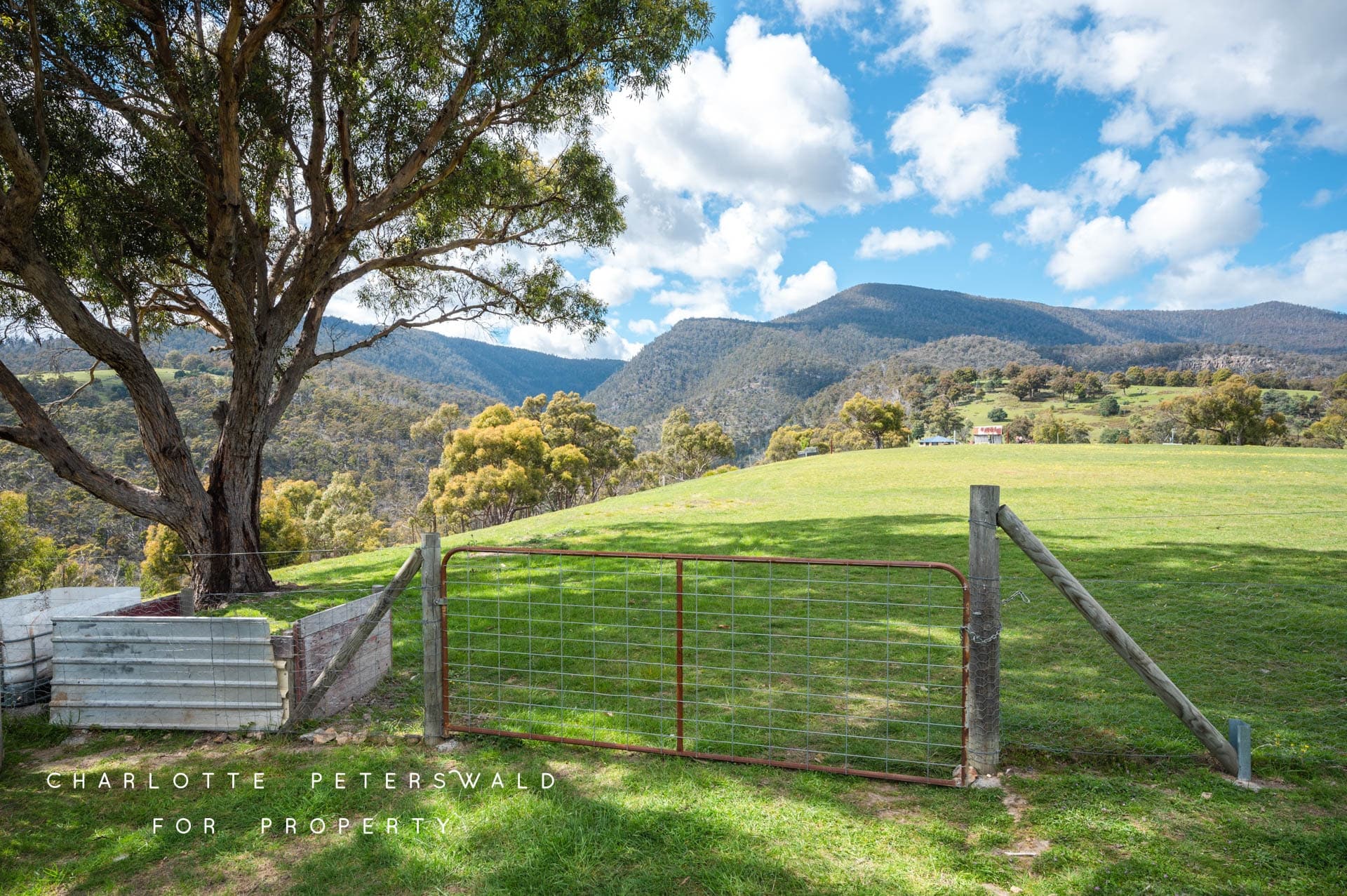 67 Menzies Road, Lachlan TAS 7140, Lachlan - Thumbnail 8
