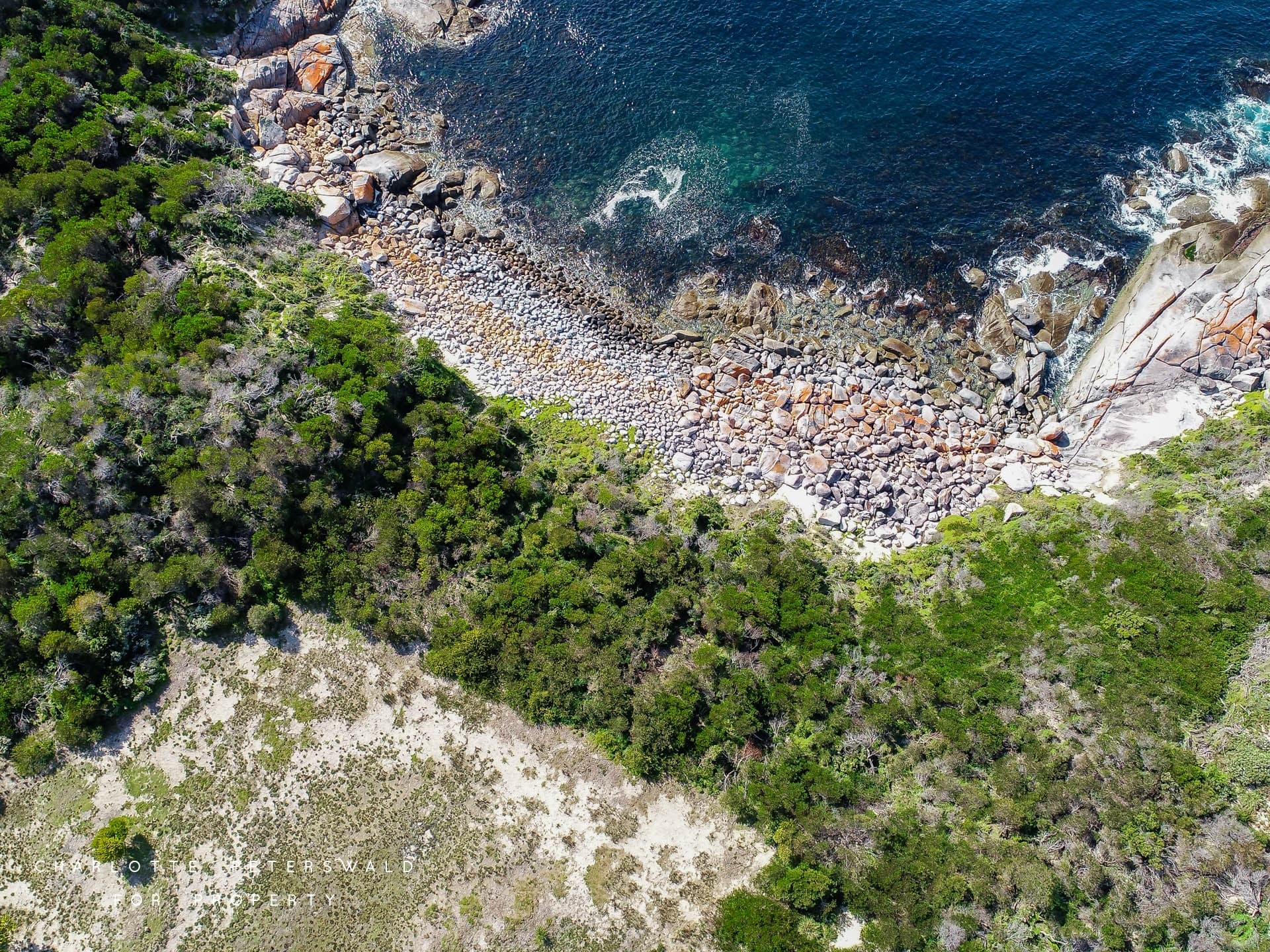 26 Maclean Road, Seymour TAS 7215, Seymour - Thumbnail 6
