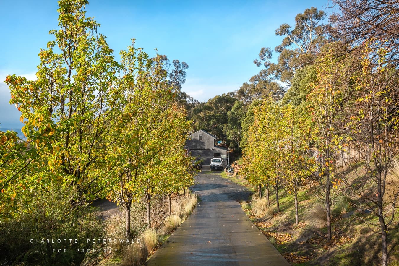 517 Huon Road, South Hobart TAS 7004, South Hobart - Thumbnail 4