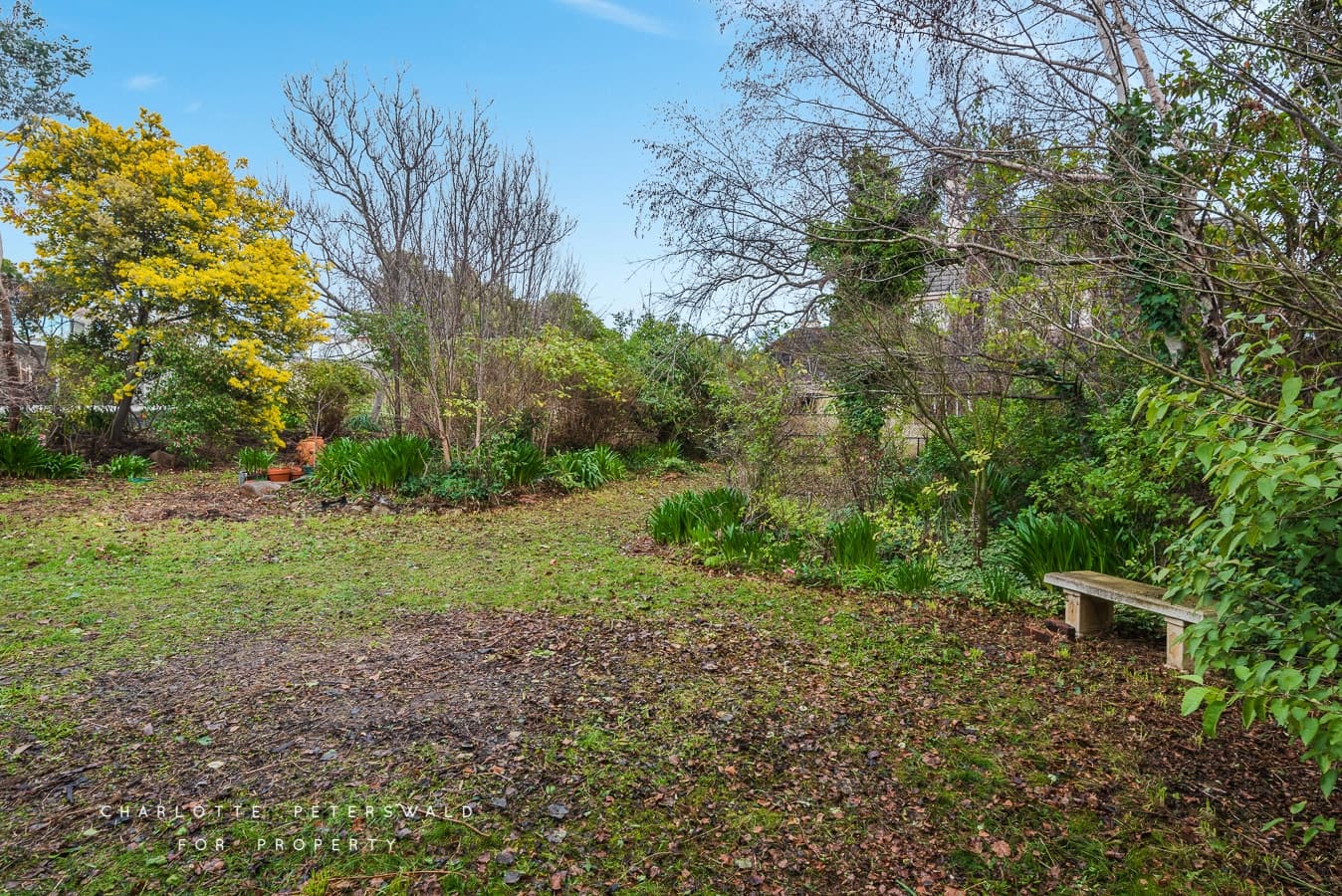 12 Bective Street, Sandy Bay TAS 7005, Sandy Bay - Thumbnail 3