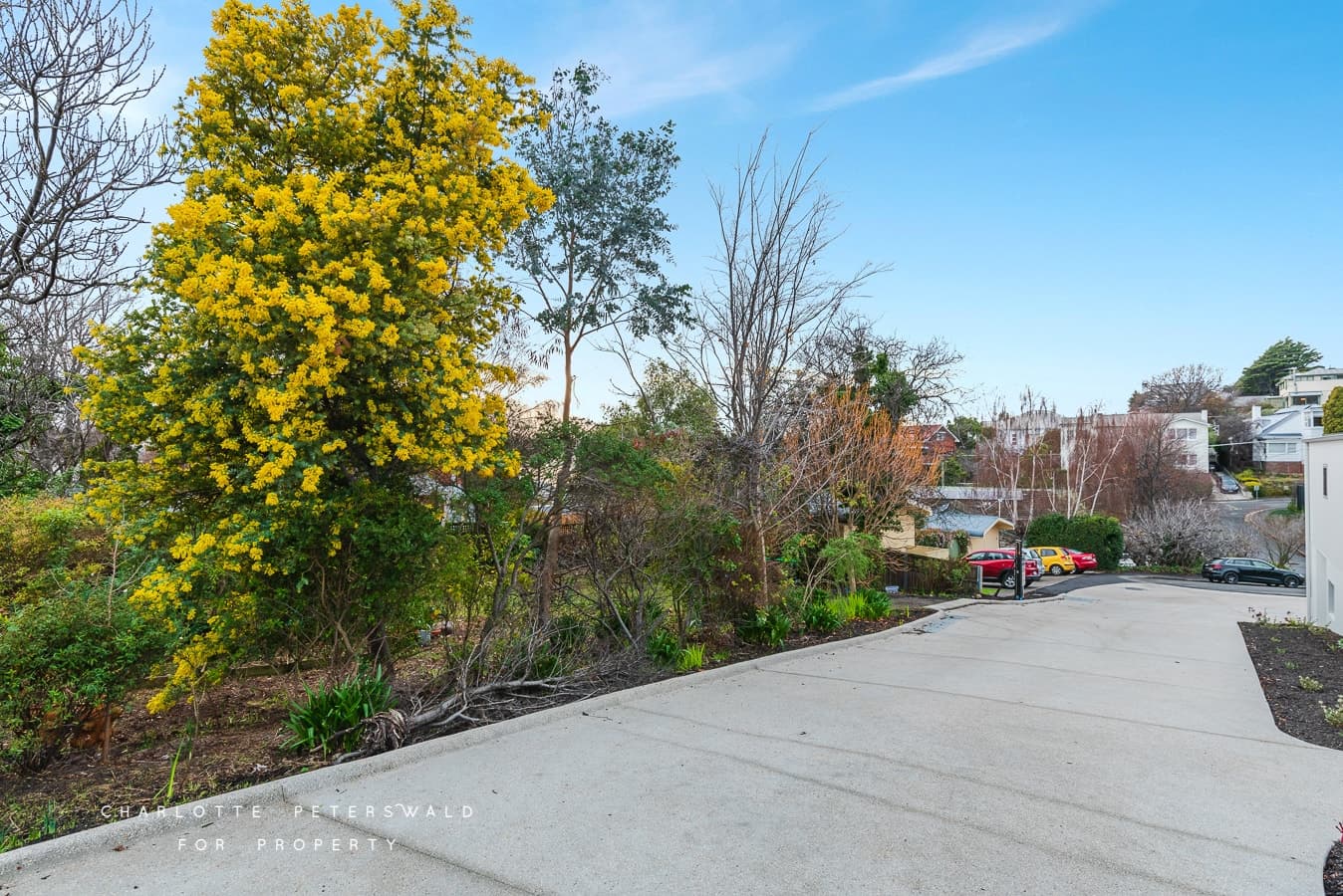 12 Bective Street, Sandy Bay TAS 7005, Sandy Bay - Thumbnail 5