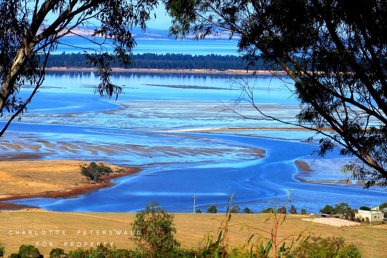 40 Schofield Drive, Sorell TAS 7172, Sorell - Thumbnail 2
