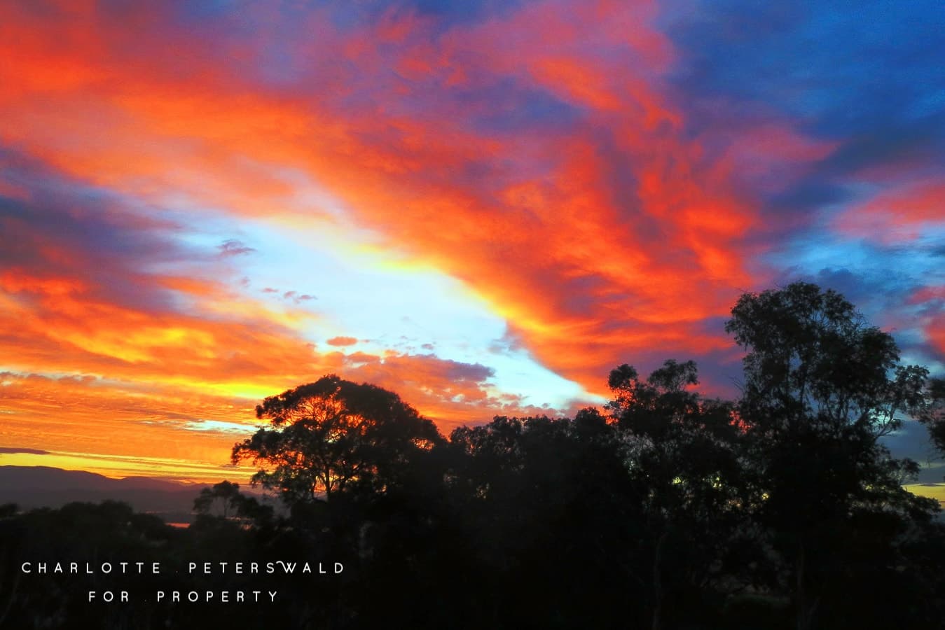 40 Schofield Drive, Sorell TAS 7172, Sorell - Thumbnail 4