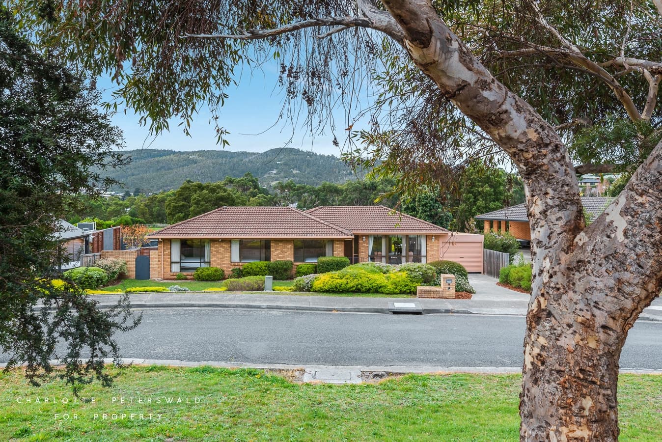 14 Sophia Street, Kingston TAS 7050, Kingston - Image 1