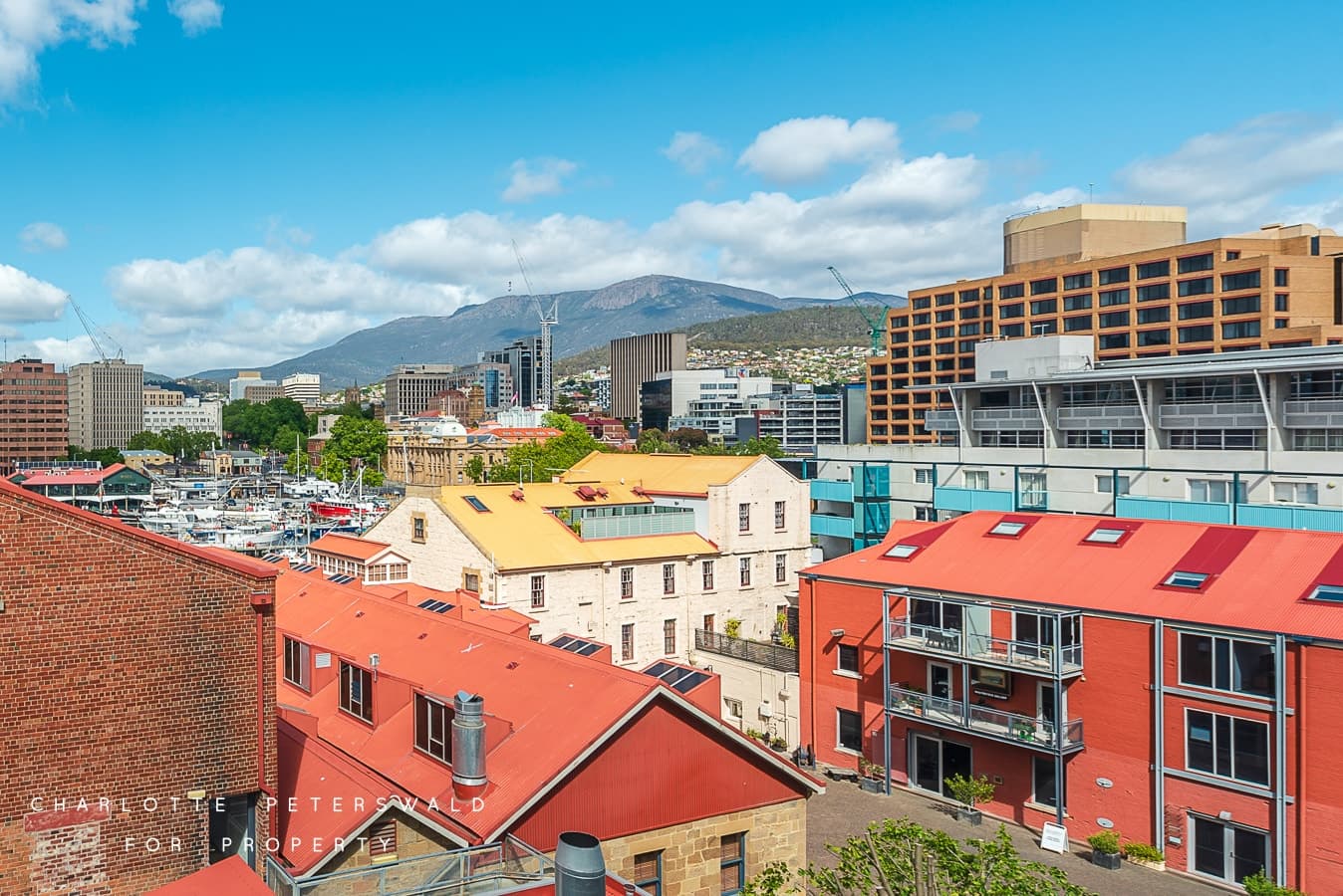 503 / 3 Evans Street, Hobart TAS 7000, Hobart - Thumbnail 4