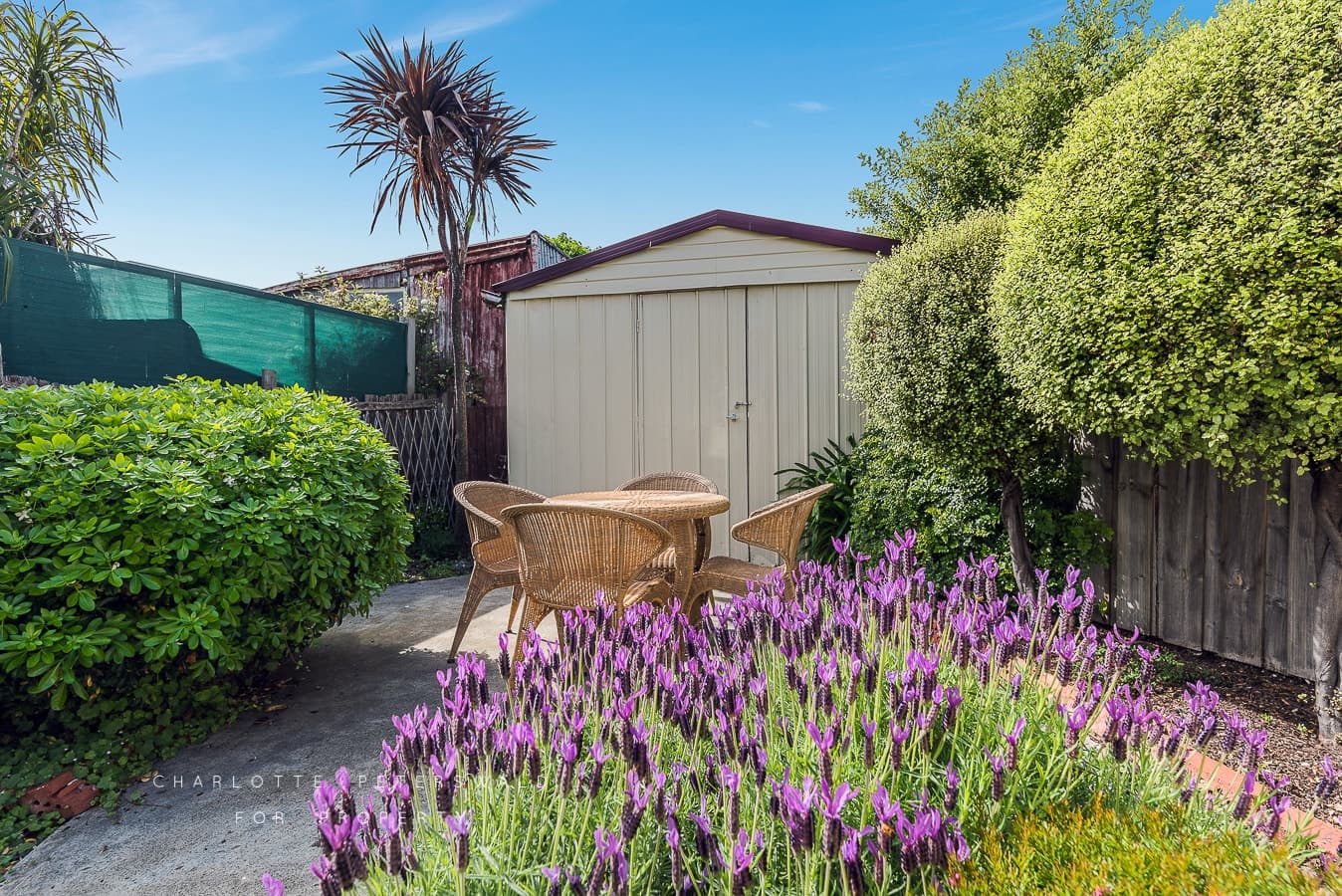 22a South Street, Battery Point TAS 7004, Battery Point - Thumbnail 5