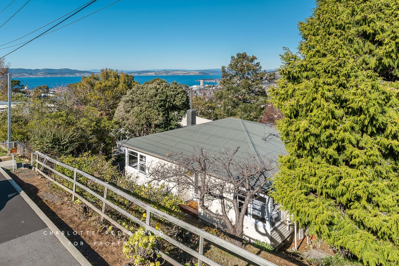 142 Forest Road, West Hobart TAS 7000, West Hobart - Thumbnail 2