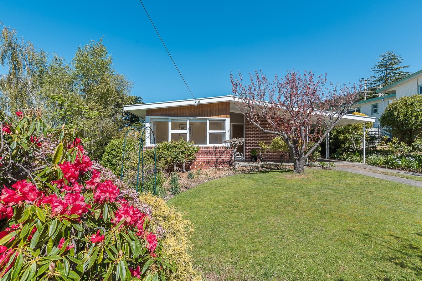 14 Oakleigh Avenue, Taroona TAS 7053, Taroona - Image 1