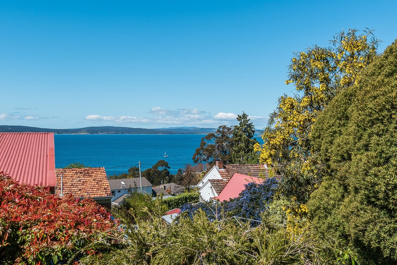 14 Oakleigh Avenue, Taroona TAS 7053, Taroona - Thumbnail 5