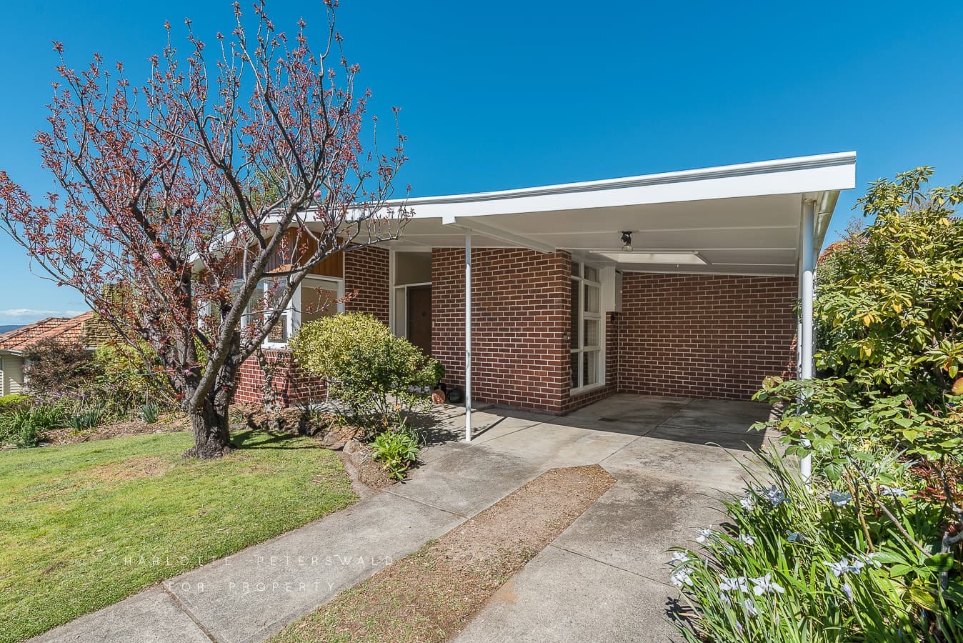 14 Oakleigh Avenue, Taroona TAS 7053, Taroona - Thumbnail 6
