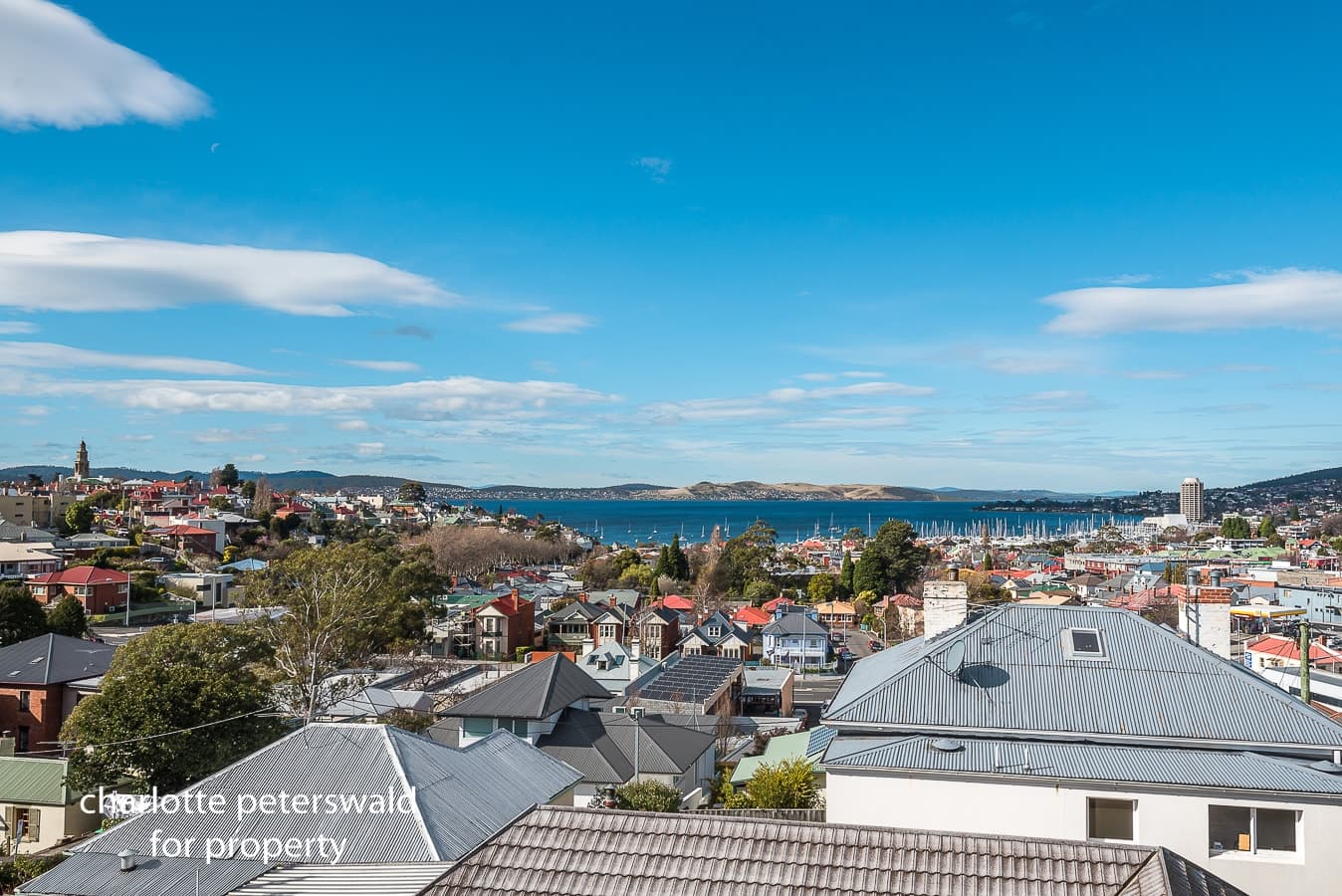 16 Star Street, Sandy Bay TAS 7005, Sandy Bay - Thumbnail 7