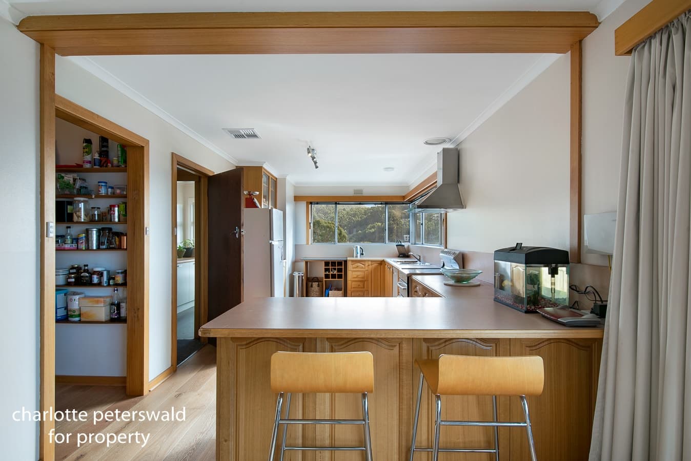 117 Forest Road, West Hobart TAS 7000, West Hobart - Thumbnail 7