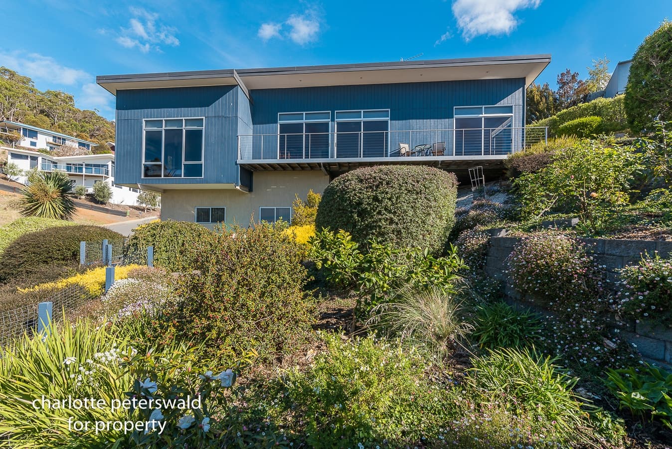 5 Gardenia Grove, Sandy Bay TAS 7005, Sandy Bay - Image 1