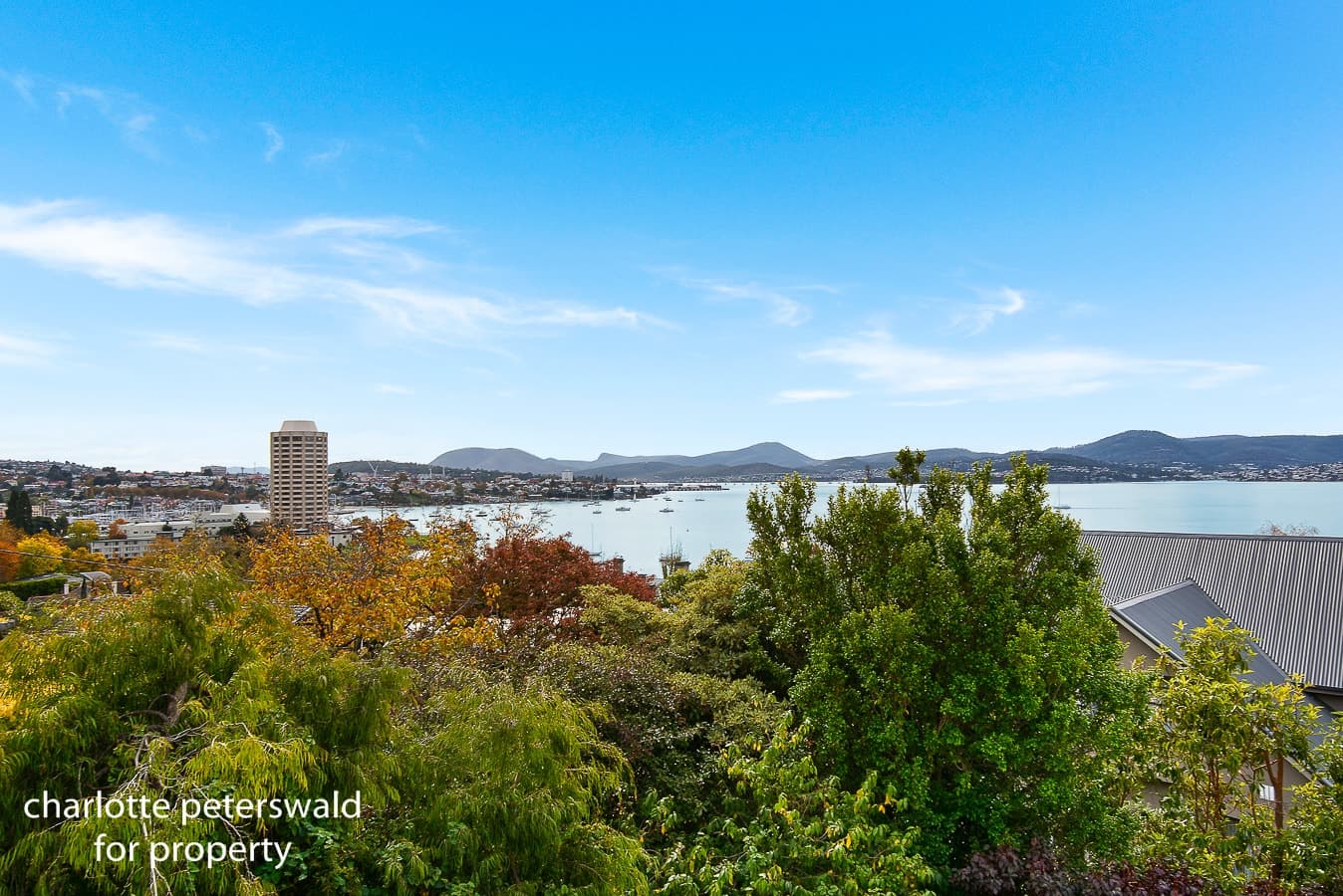 17 Norfolk Crescent, Sandy Bay TAS 7005, Sandy Bay - Thumbnail 2