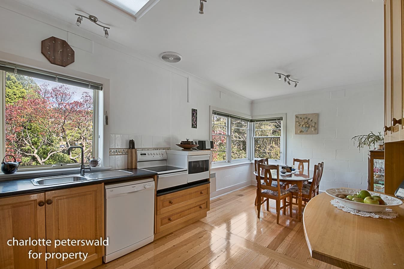 24 Richardson Avenue, Dynnyrne TAS 7005, Dynnyrne - Thumbnail 6