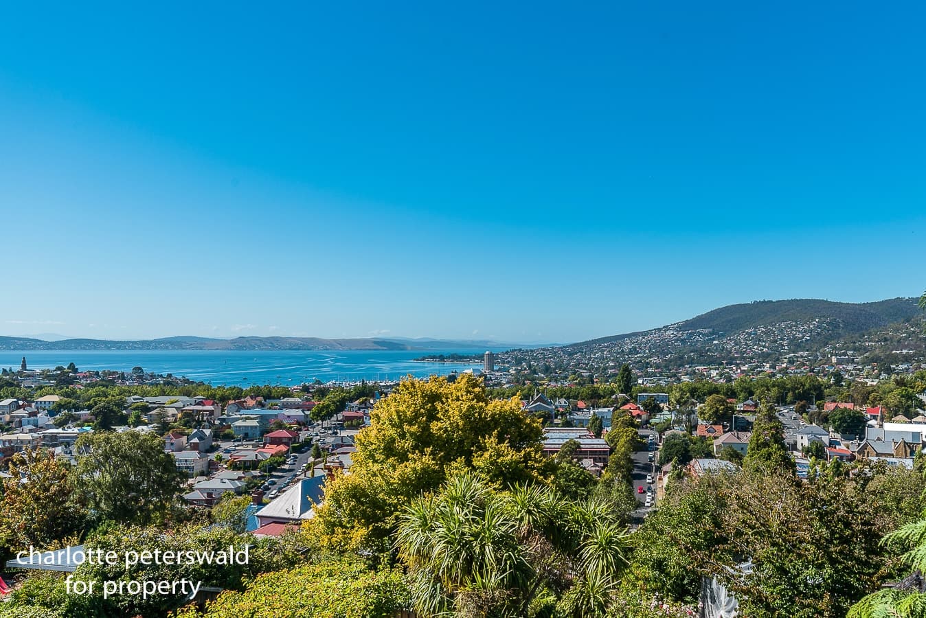 58 Forest Road, West Hobart TAS 7000, West Hobart - Thumbnail 3