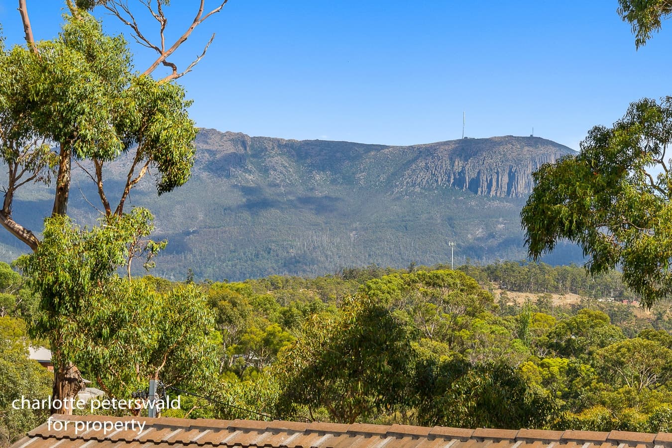 28 Brinsmead Road, Mount Nelson TAS 7007, Mount Nelson - Thumbnail 3