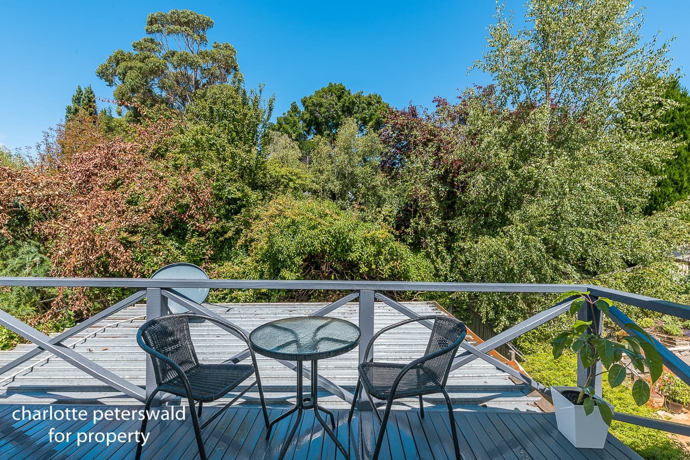 2 Bective Street, Sandy Bay TAS 7005, Sandy Bay - Thumbnail 6