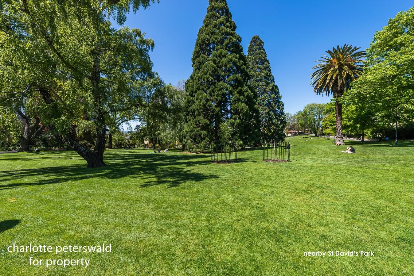 102 / 1 Sandy Bay Road, Hobart TAS 7000, Hobart - Thumbnail 8
