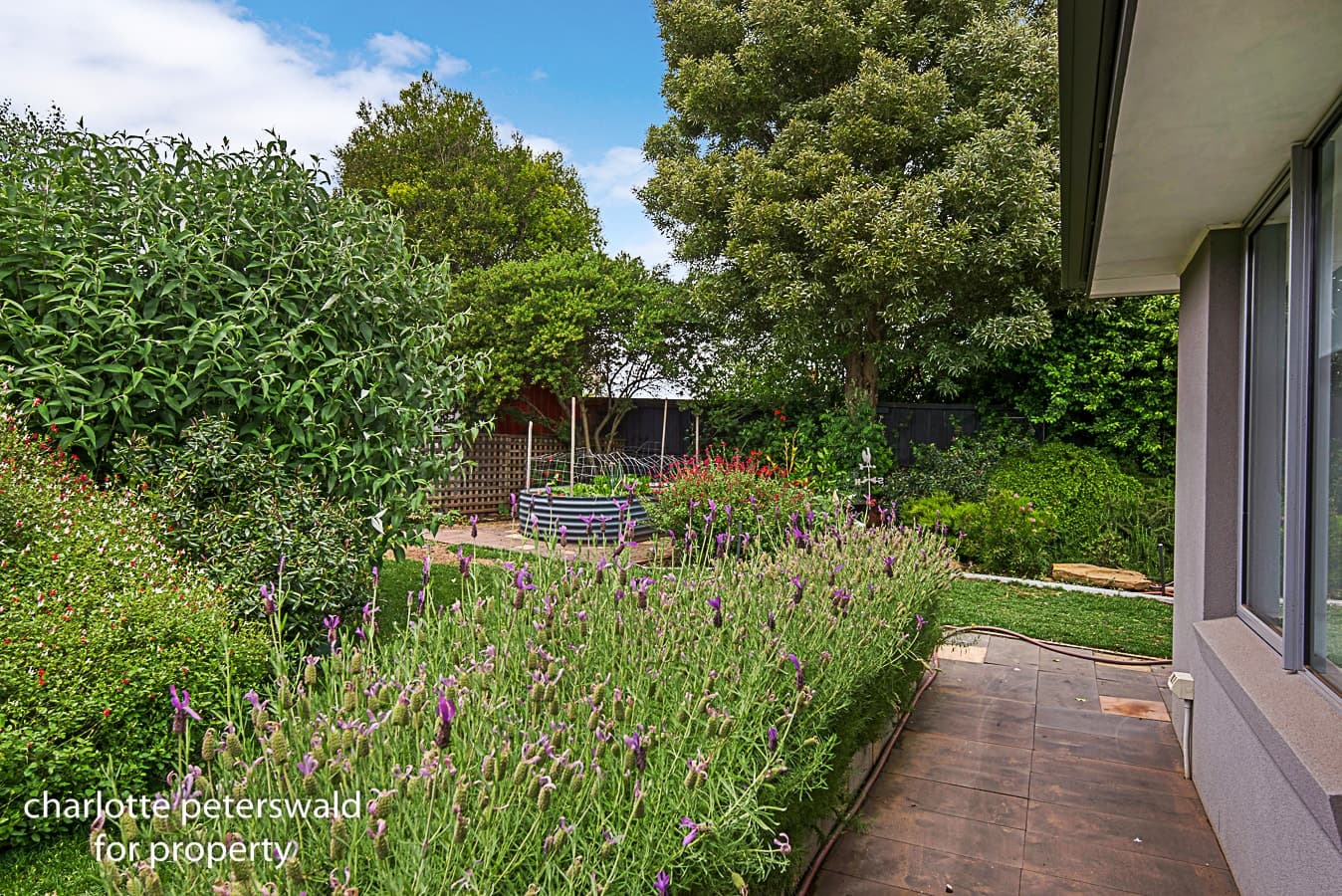 5 Parramore Street, Richmond TAS 7025, Richmond - Thumbnail 3