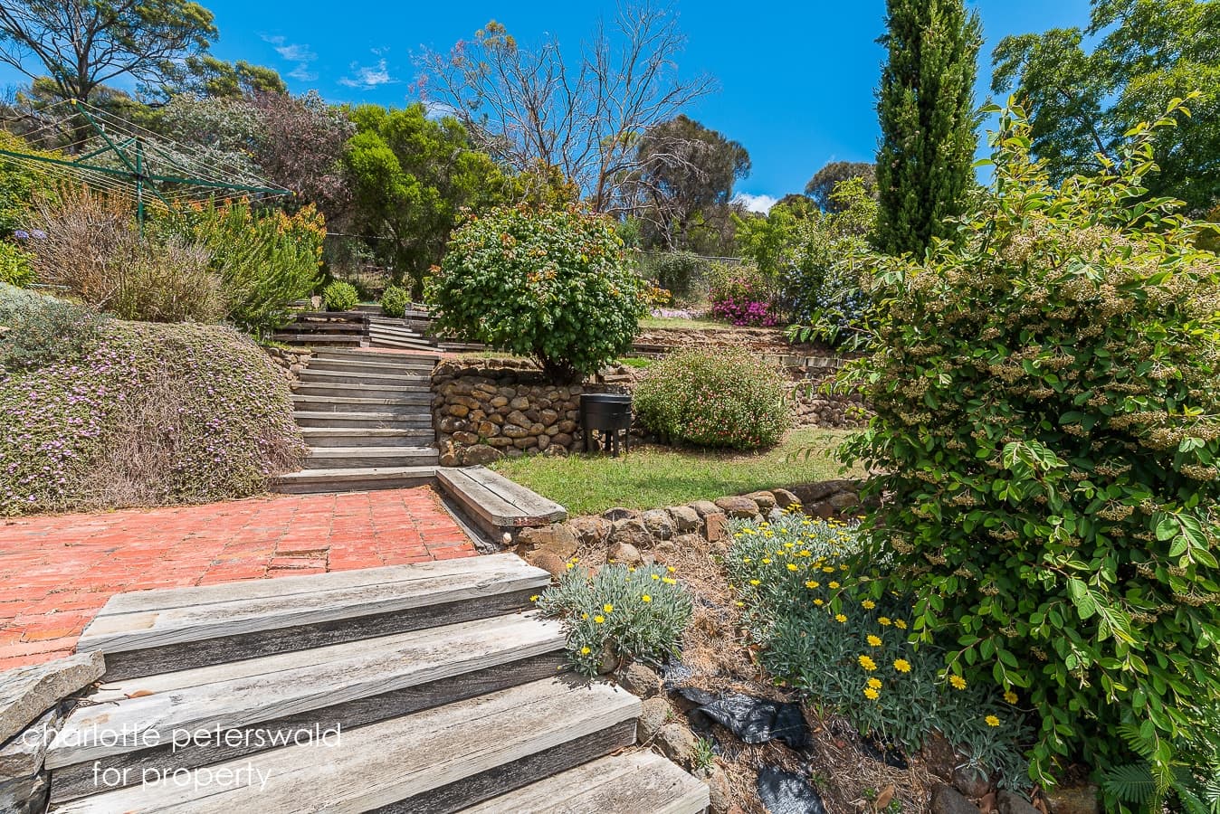 44 Walch Avenue, Moonah TAS 7009, Moonah - Thumbnail 5