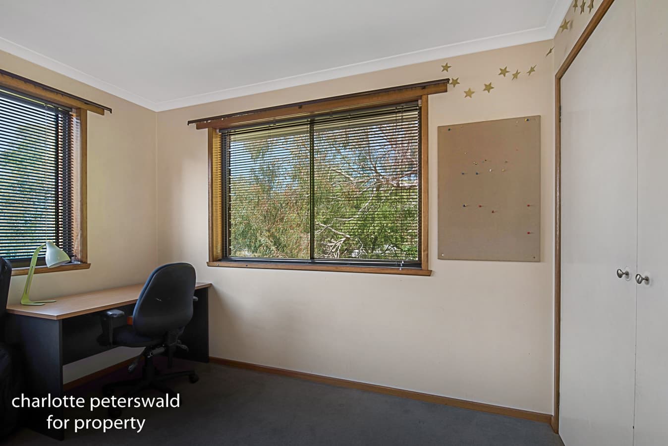 50 Alexander Street, Sandy Bay TAS 7005, Sandy Bay - Thumbnail 6