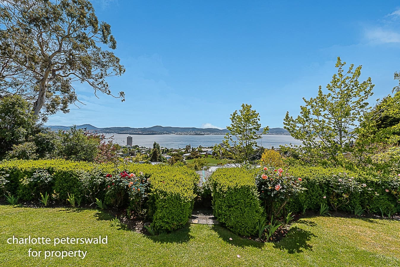 20 Beddome Street, Sandy Bay TAS 7005, Sandy Bay - Thumbnail 3
