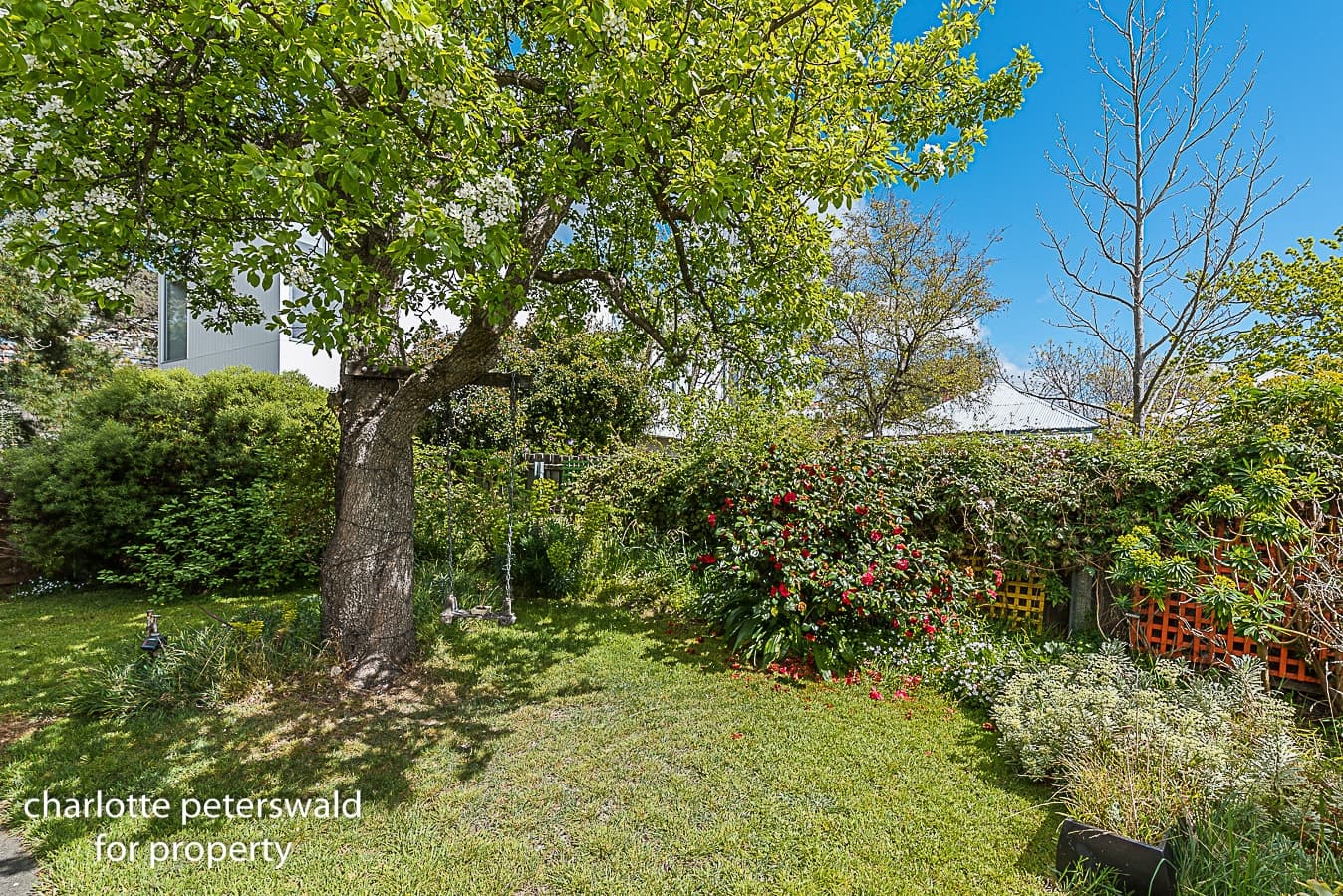 7 Braeside Crescent, Sandy Bay TAS 7005, Sandy Bay - Thumbnail 3