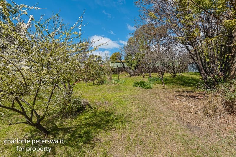 50 Waimea Avenue, Sandy Bay TAS 7005, Sandy Bay - Thumbnail 5