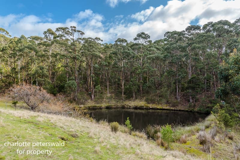 236 Tinderbox Road, Tinderbox TAS 7054, Tinderbox - Thumbnail 6