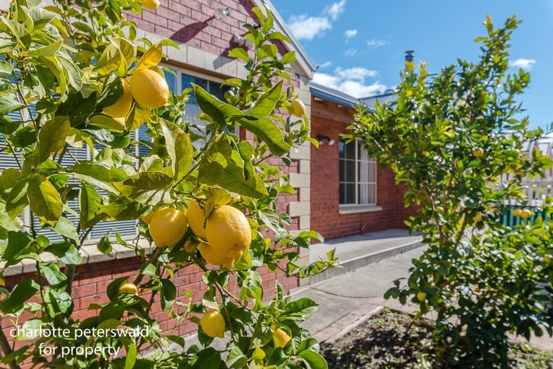 3 / 109 King Street, Sandy Bay TAS 7005, Sandy Bay - Thumbnail 2