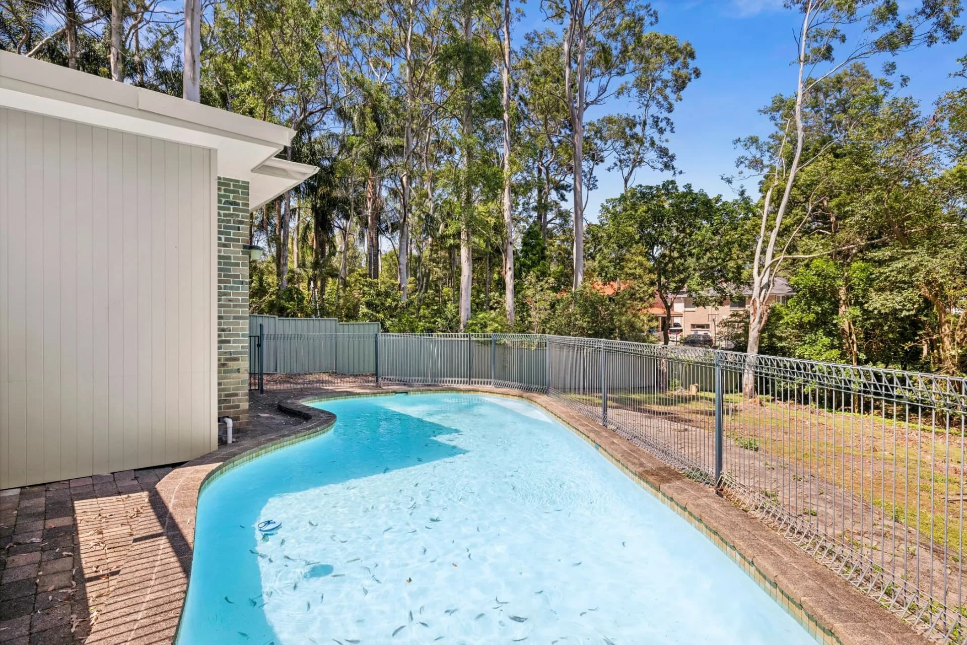14B Russell Avenue, Wahroonga, NSW, Wahroonga - Thumbnail 5