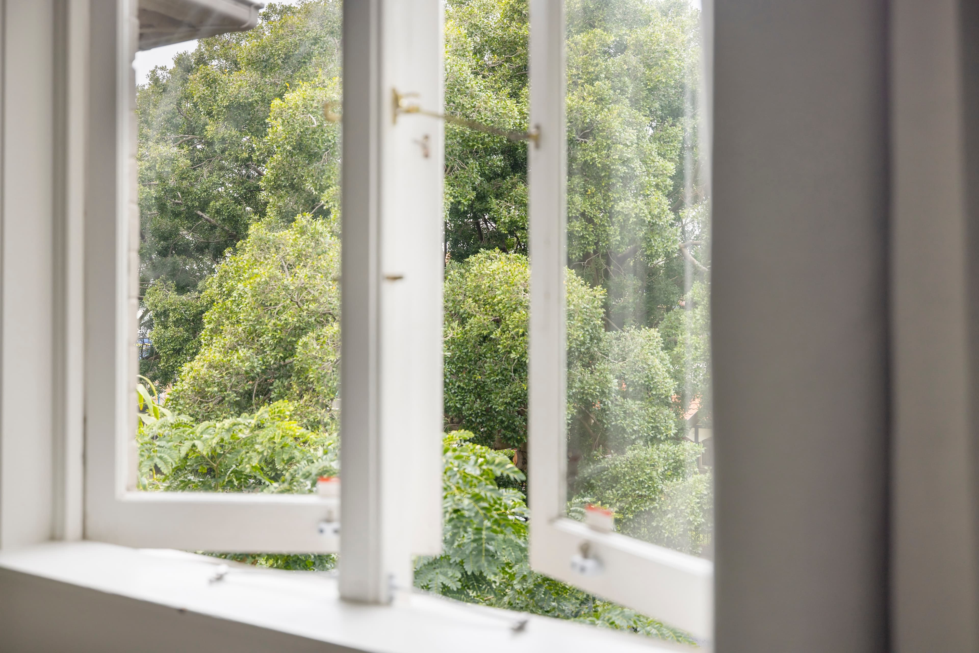 3/16 Consett Avenue, Bondi Beach - Thumbnail 8