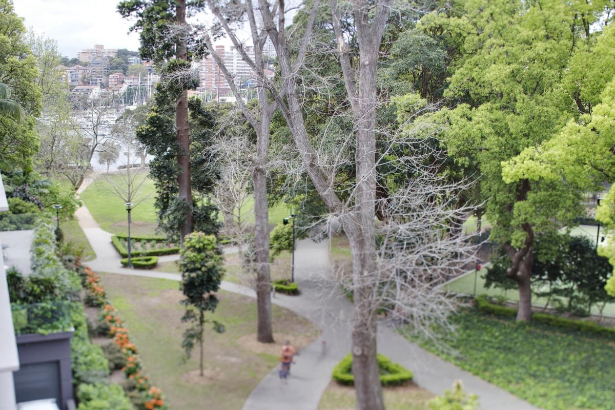 6/4 Waratah Street, Rushcutters Bay - Thumbnail 6