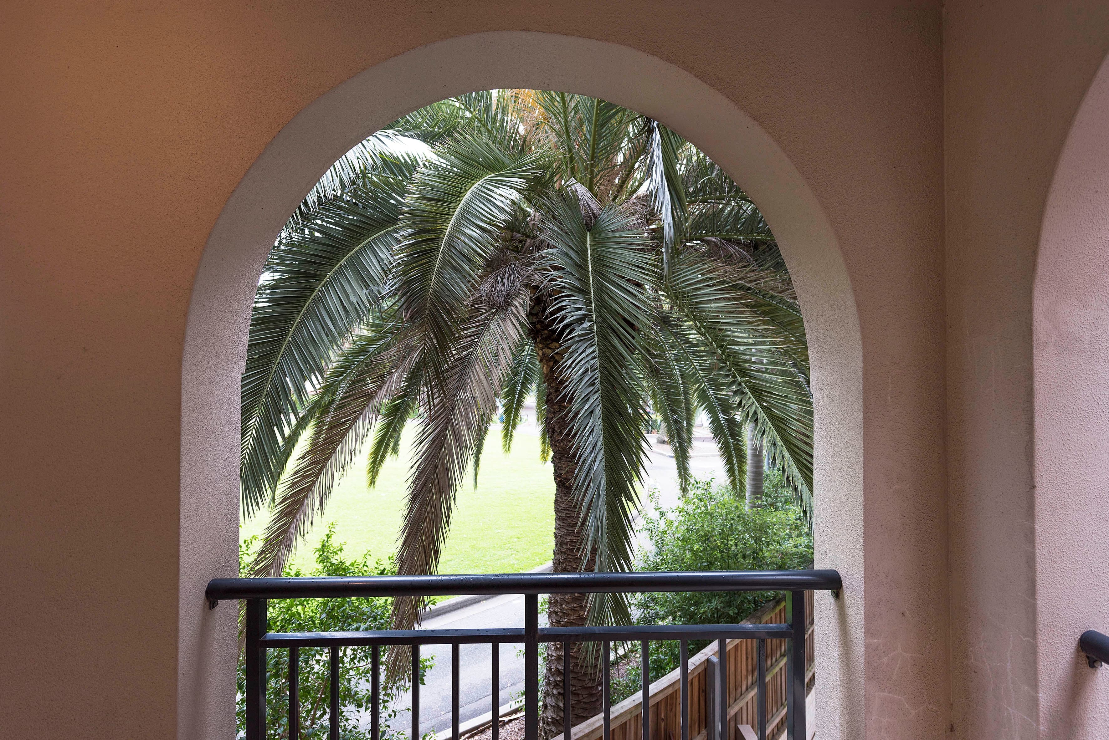 14/342a Marrickville Road, Marrickville - Thumbnail 3