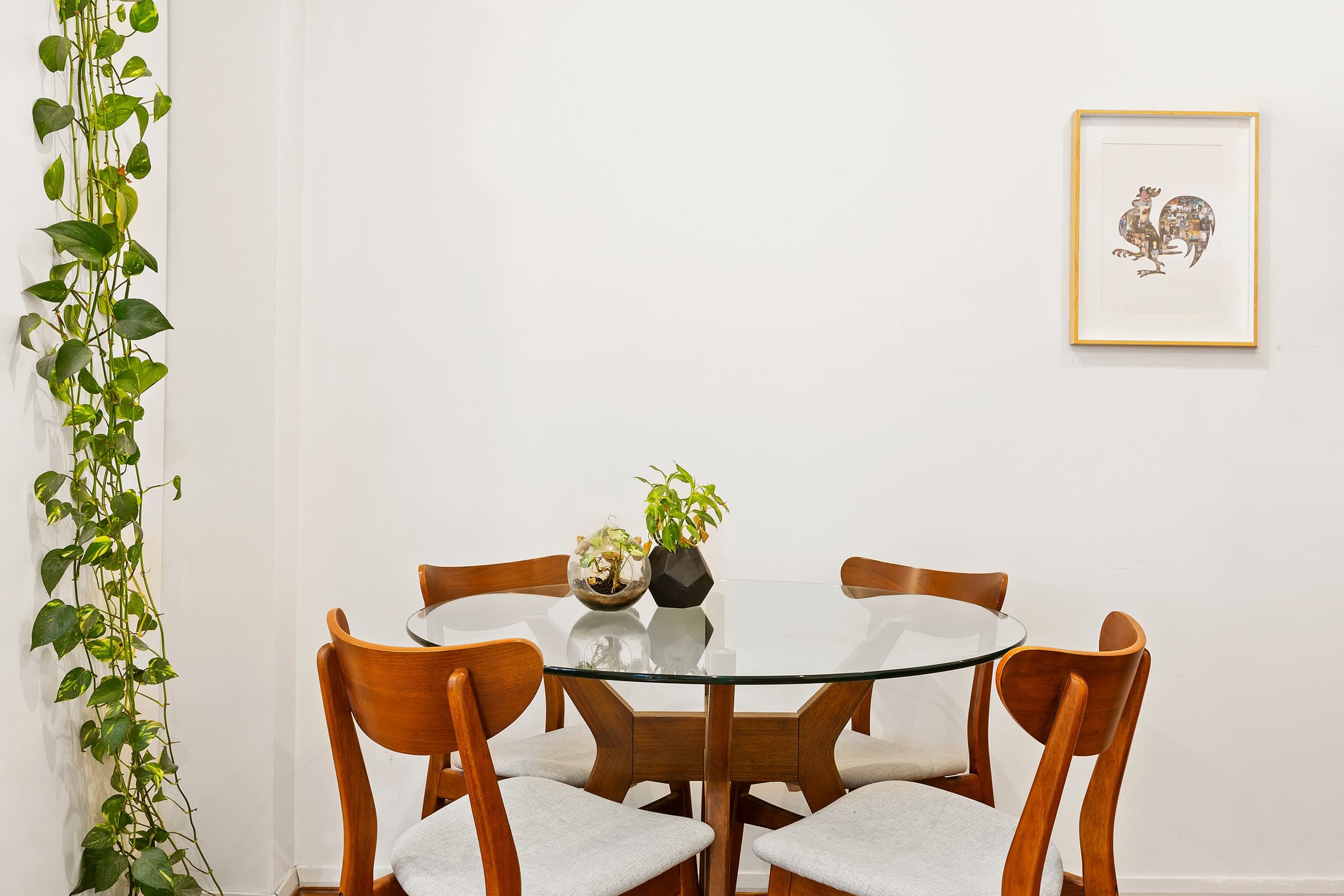 148 Walker Street, Waterloo - Thumbnail 3