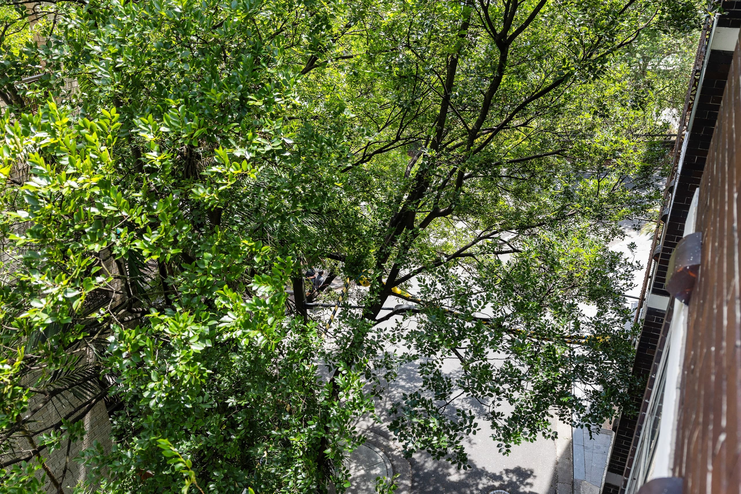21/179 Darlinghurst Road, Darlinghurst - Thumbnail 5