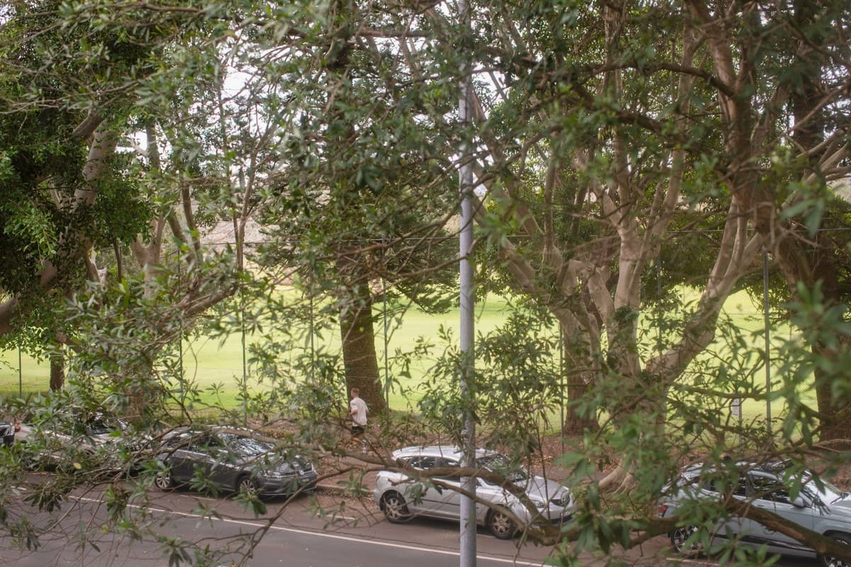 6/87 O'Sullivan Road, Rose Bay - Thumbnail 7