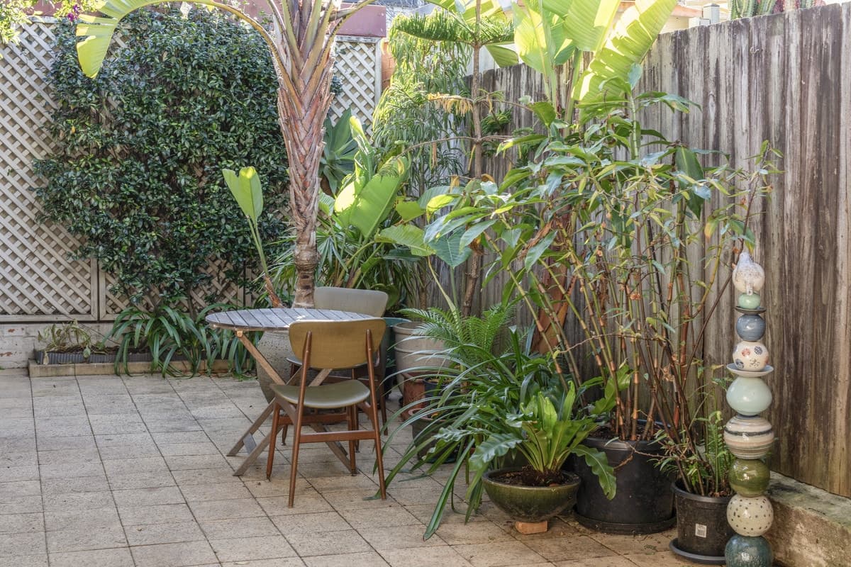 87 Rochford Street, Erskineville - Thumbnail 3