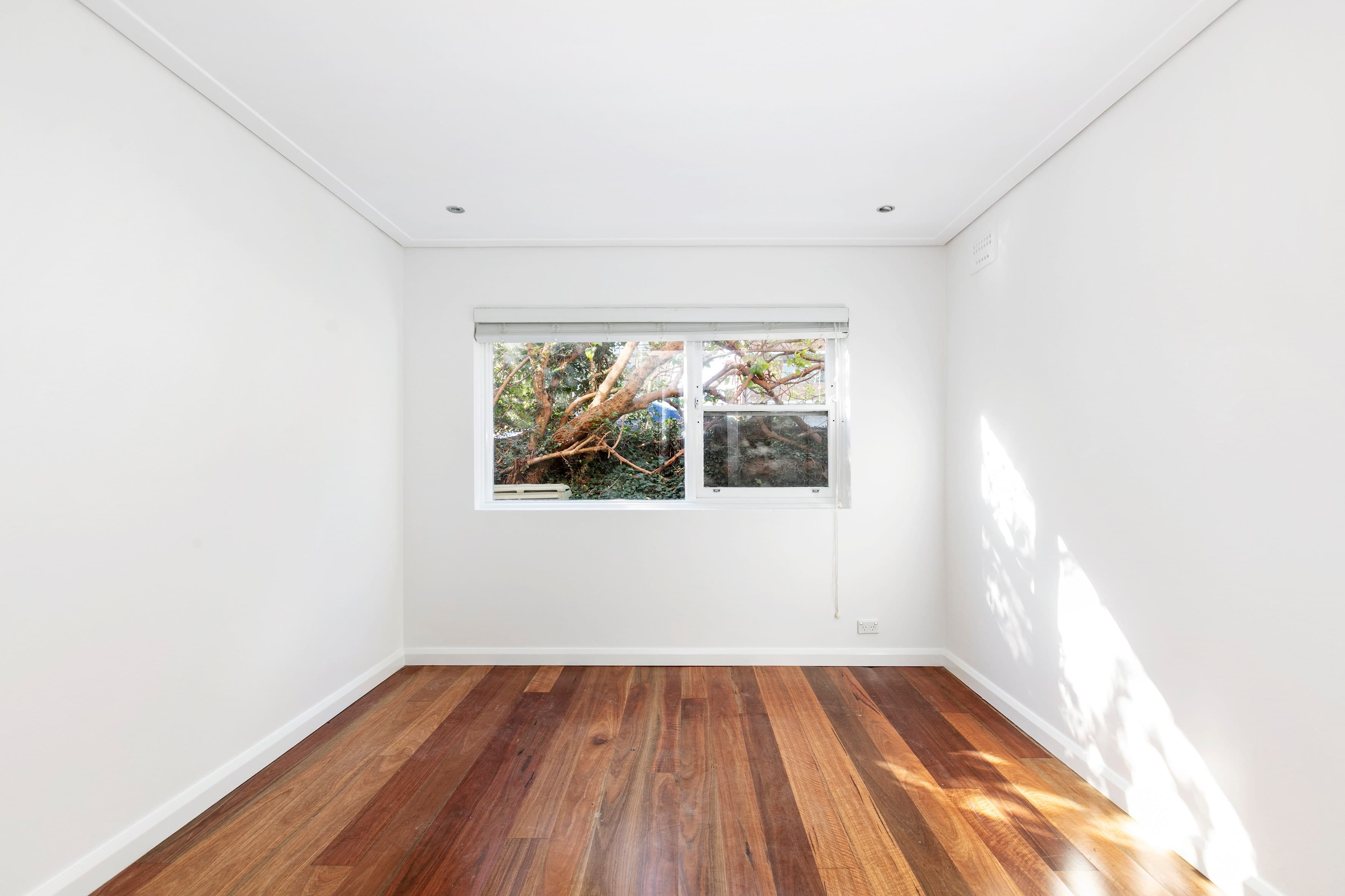 2/312 Arden Street, Coogee - Thumbnail 3