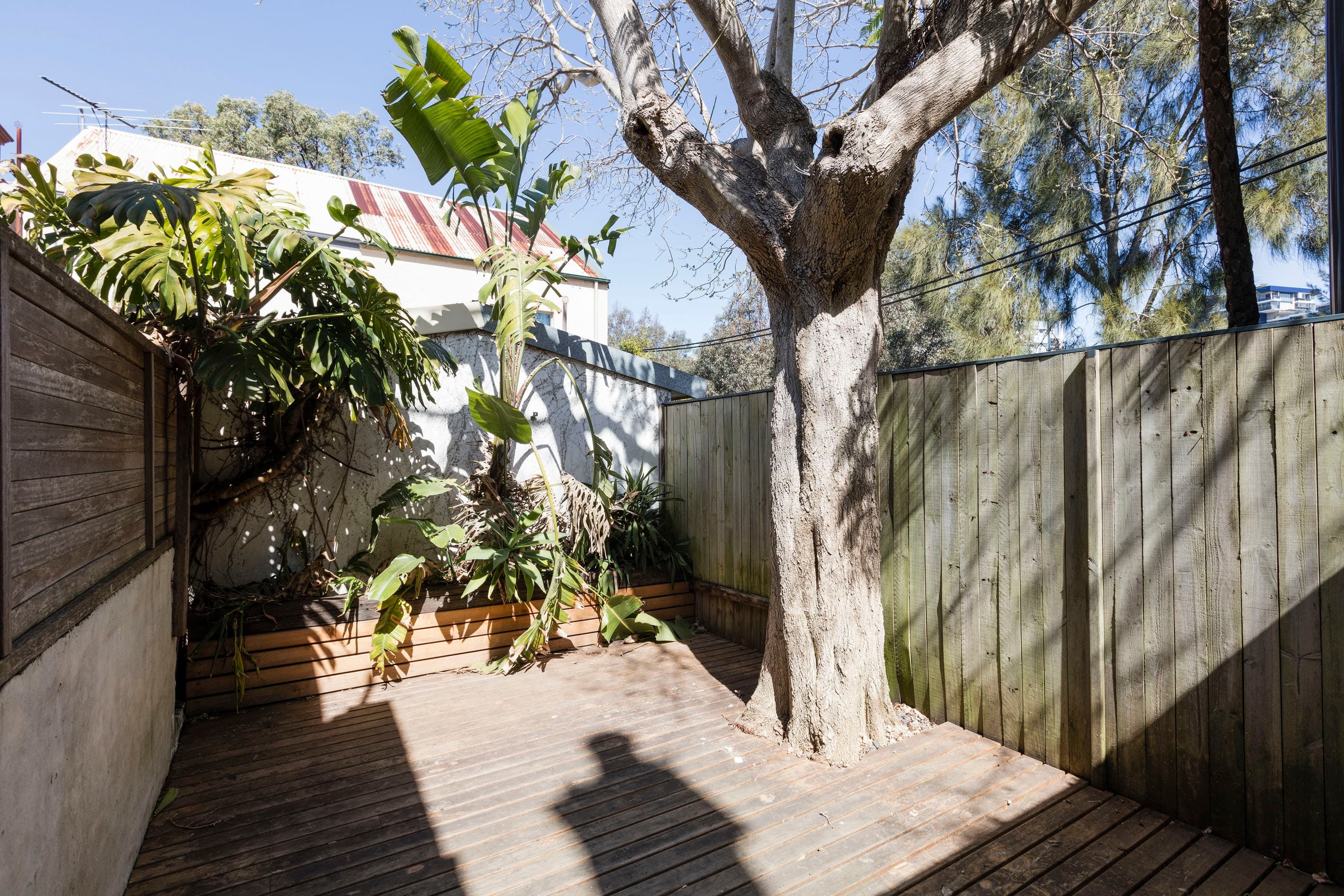 222 Hereford Street, Forest Lodge - Thumbnail 4