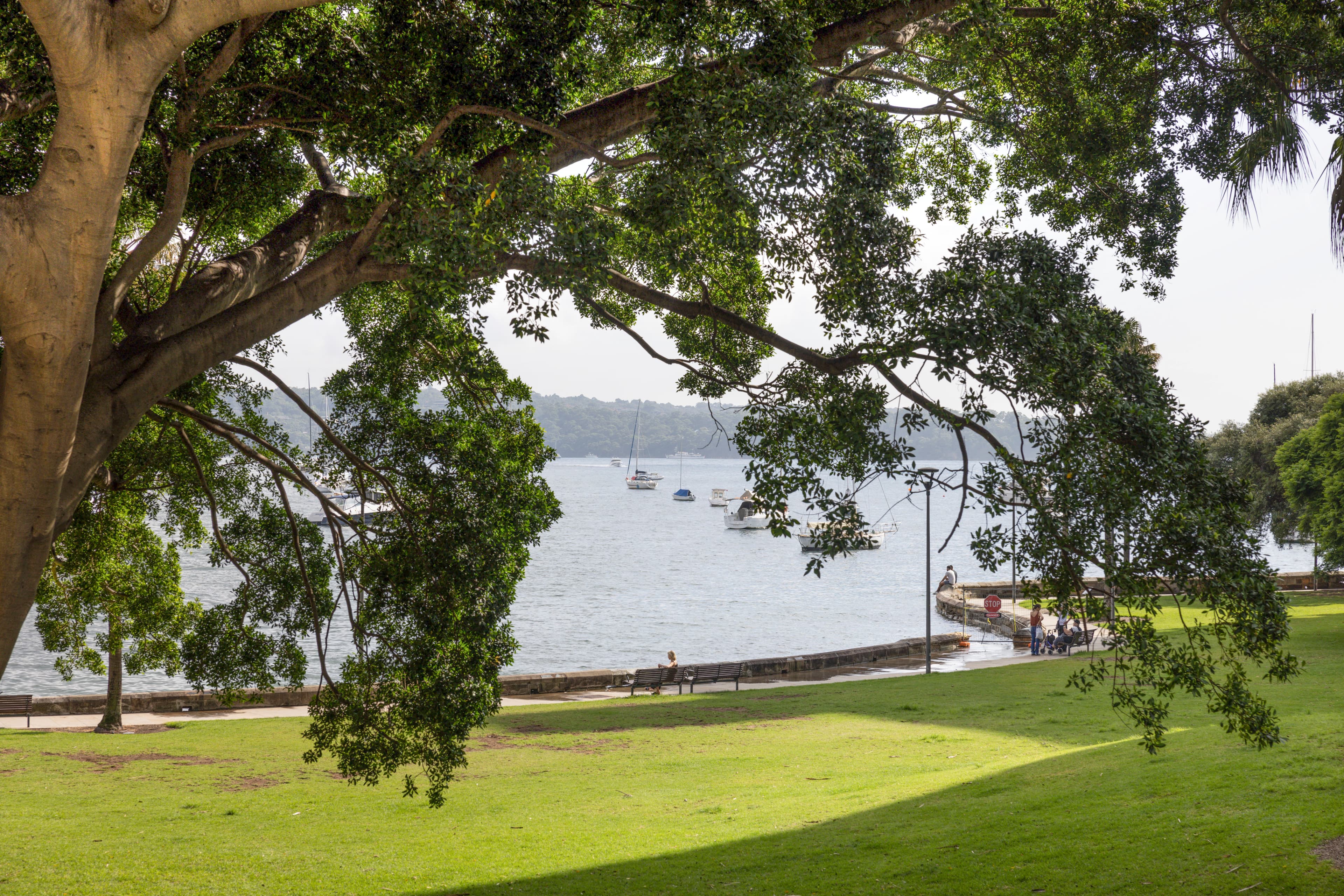 12/5-7 The Esplanade, Elizabeth Bay - Image 1