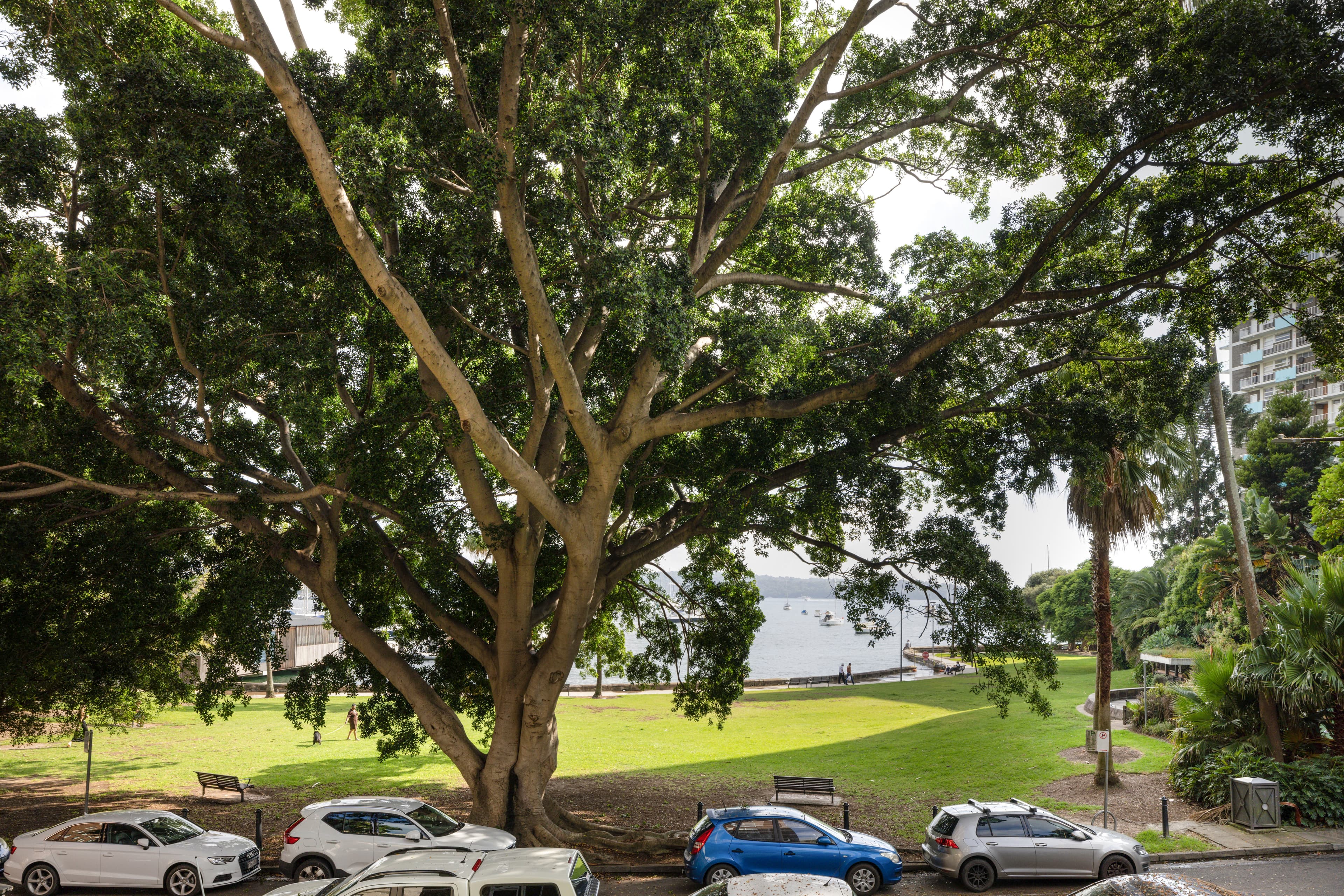 12/5-7 The Esplanade, Elizabeth Bay - Thumbnail 2