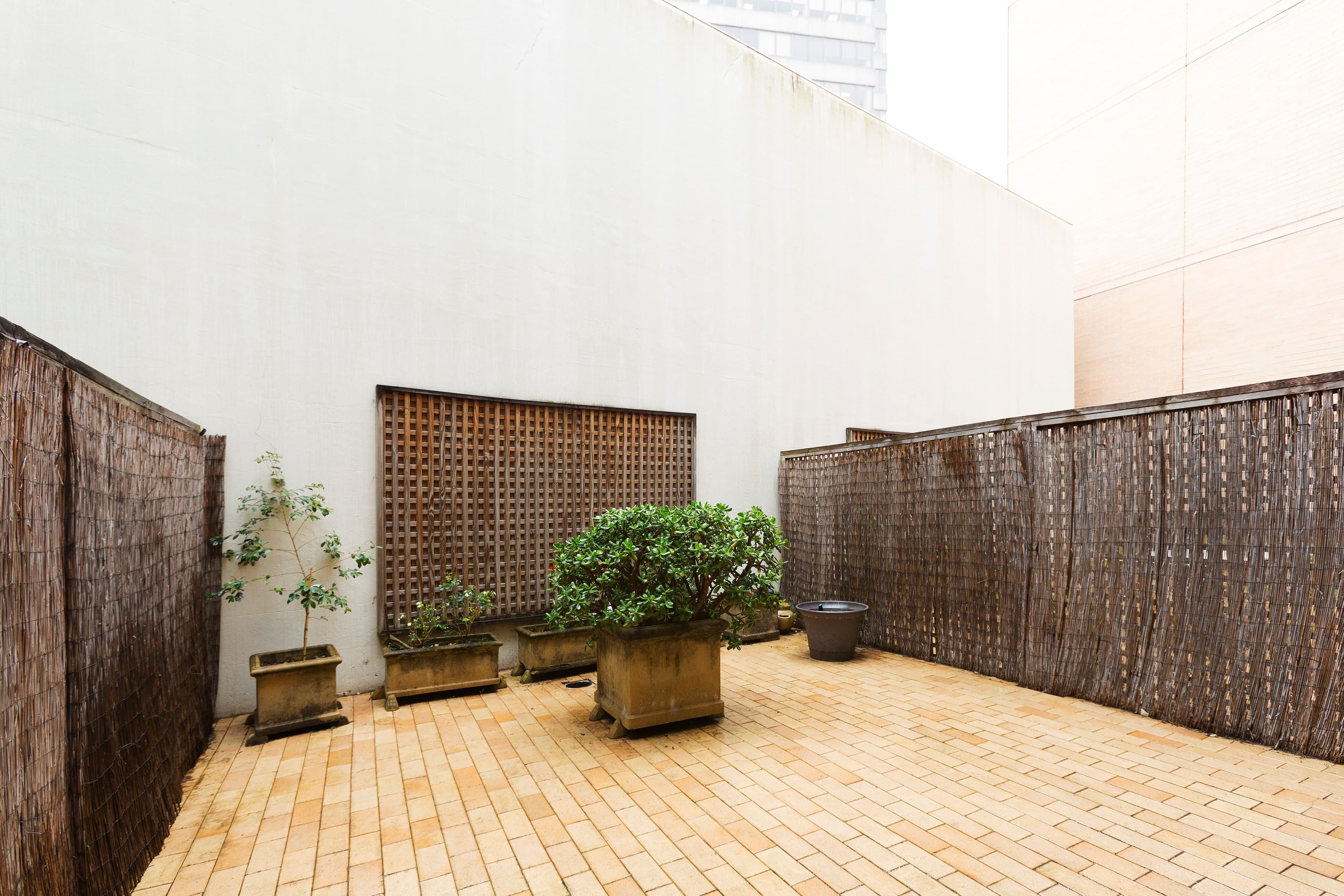 3/424 Elizabeth Street, Surry Hills - Thumbnail 3