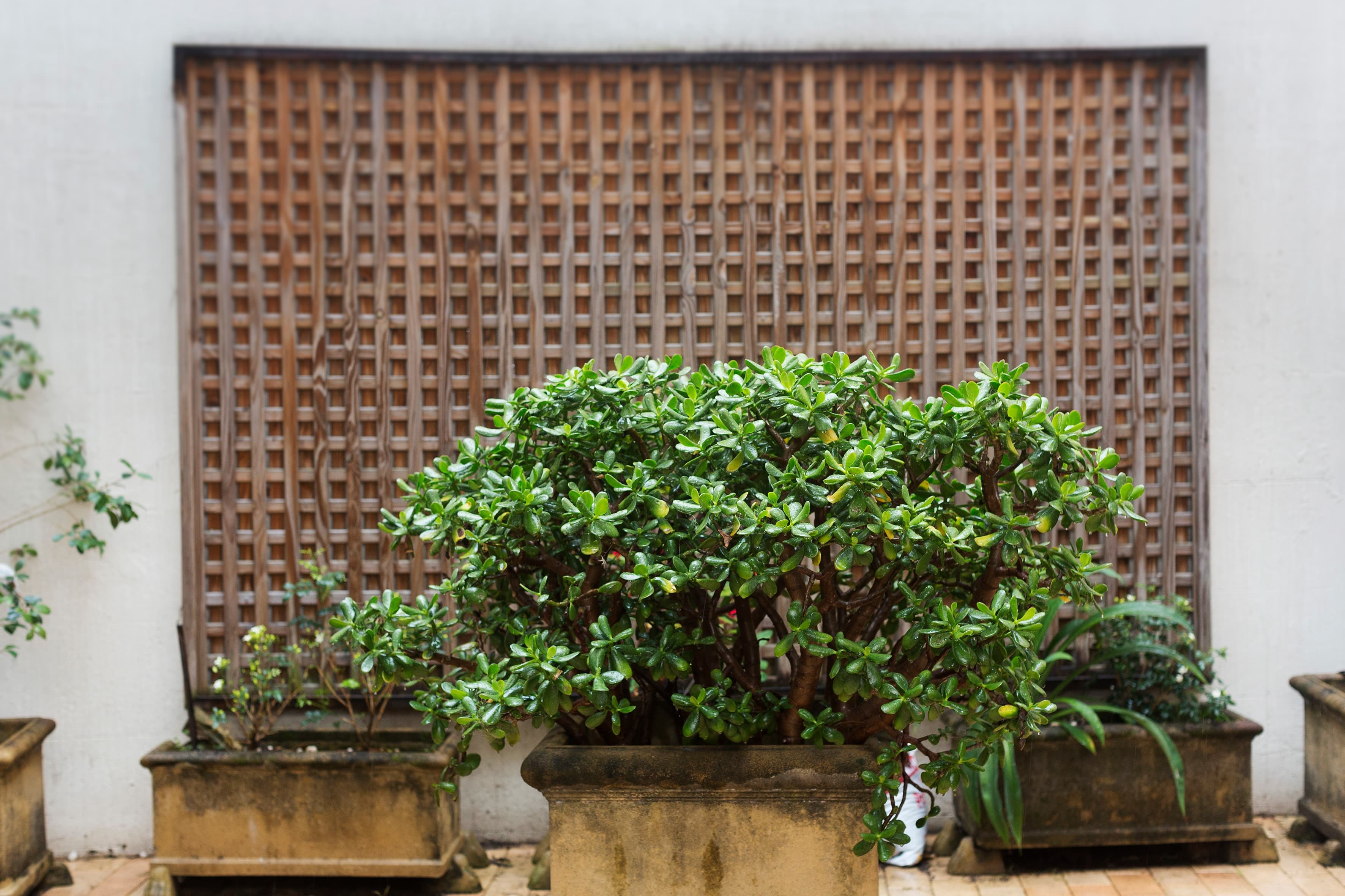 3/424 Elizabeth Street, Surry Hills - Thumbnail 7