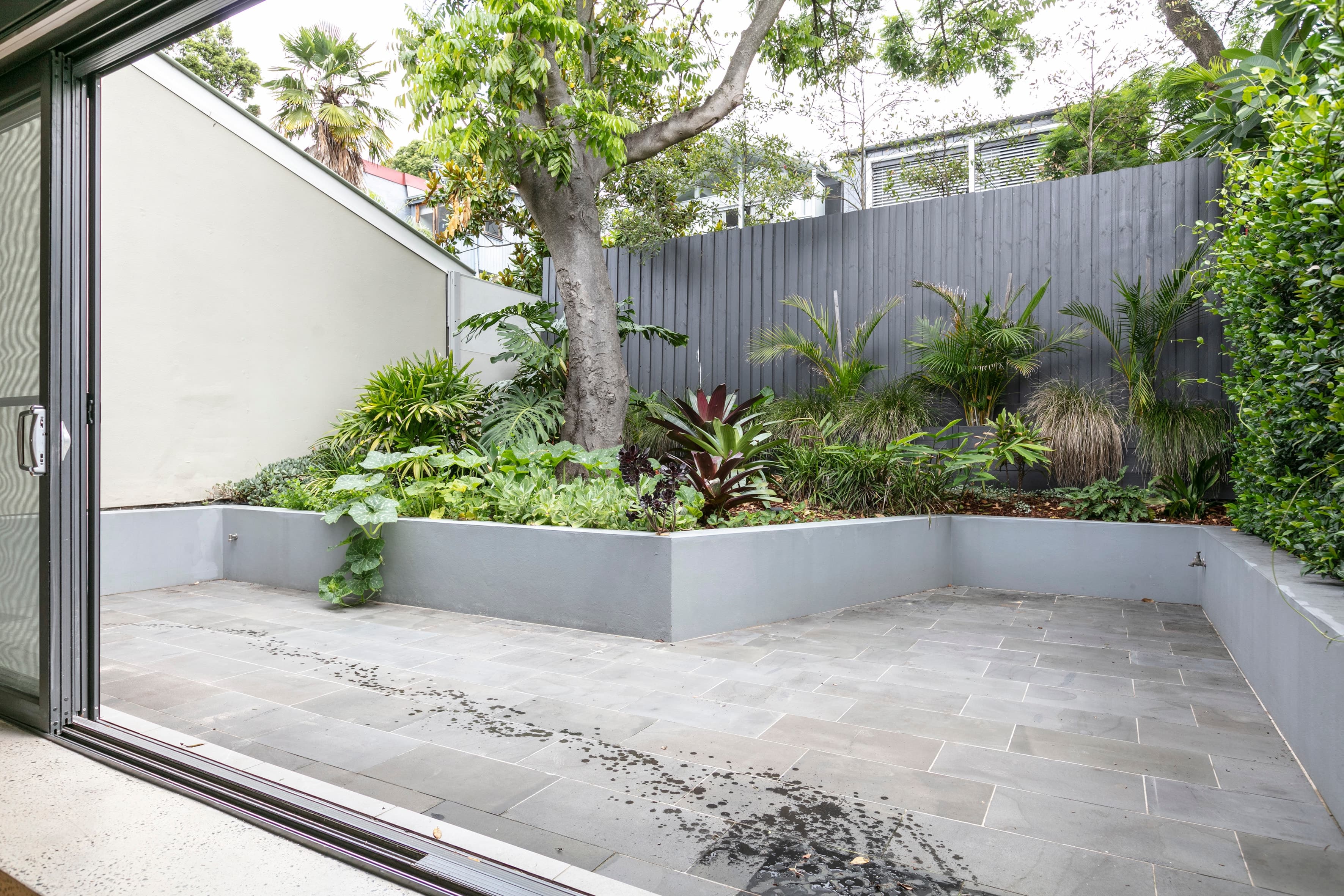 40 Curtis Road, Balmain - Thumbnail 4