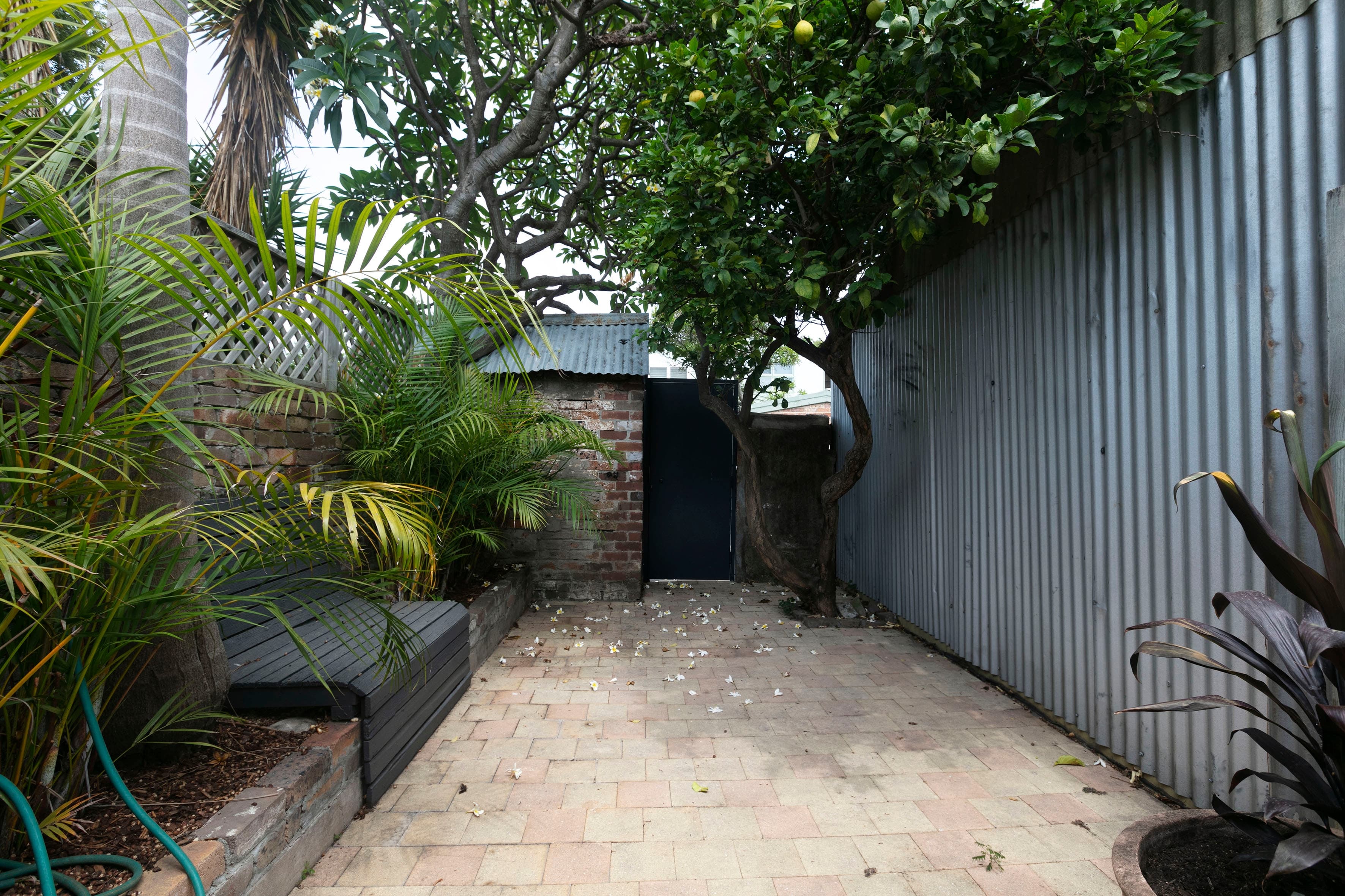 101 Probert Street, Newtown - Thumbnail 8