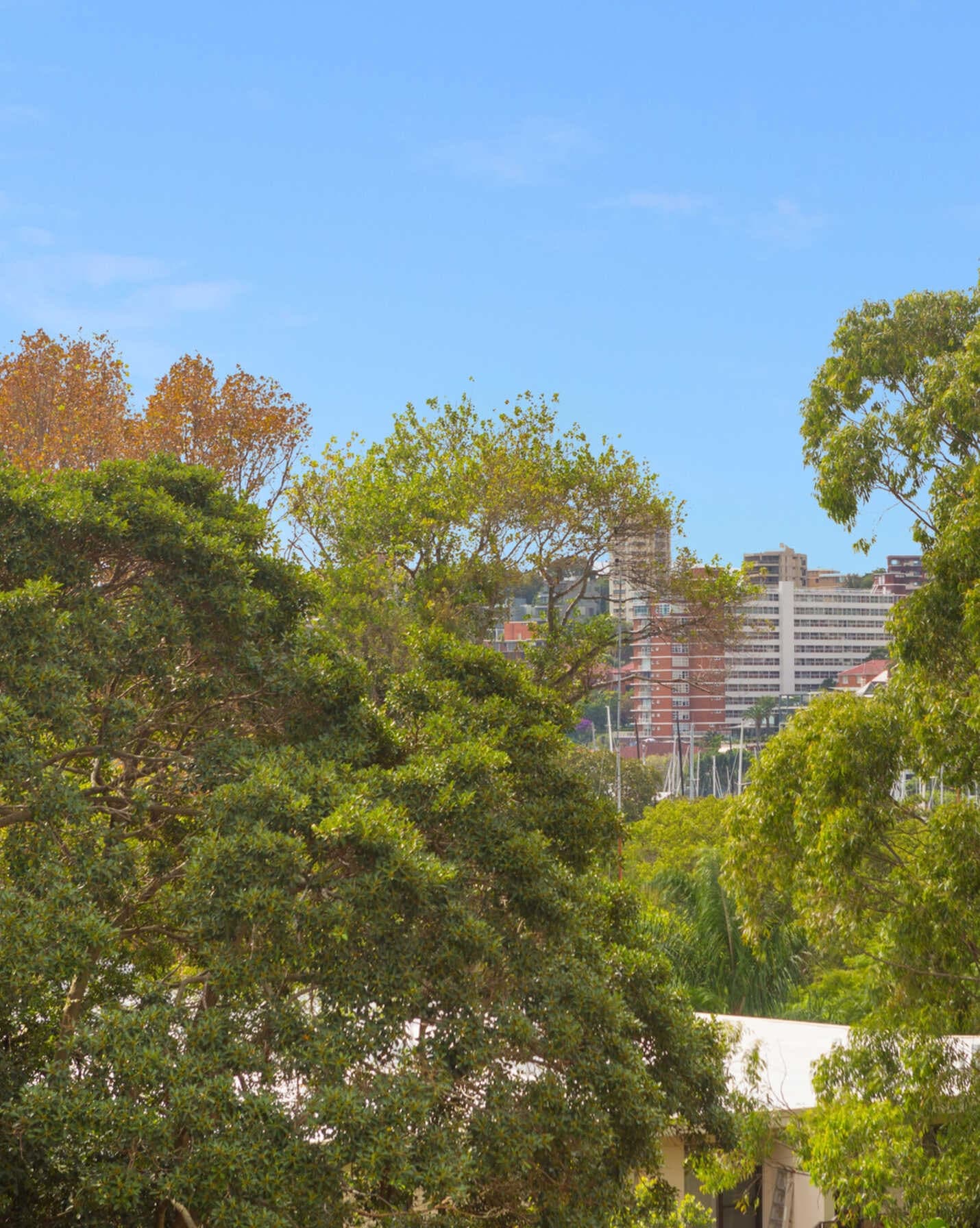 301/76 Roslyn Gardens Rushcutters Bay, Bay - Thumbnail 5