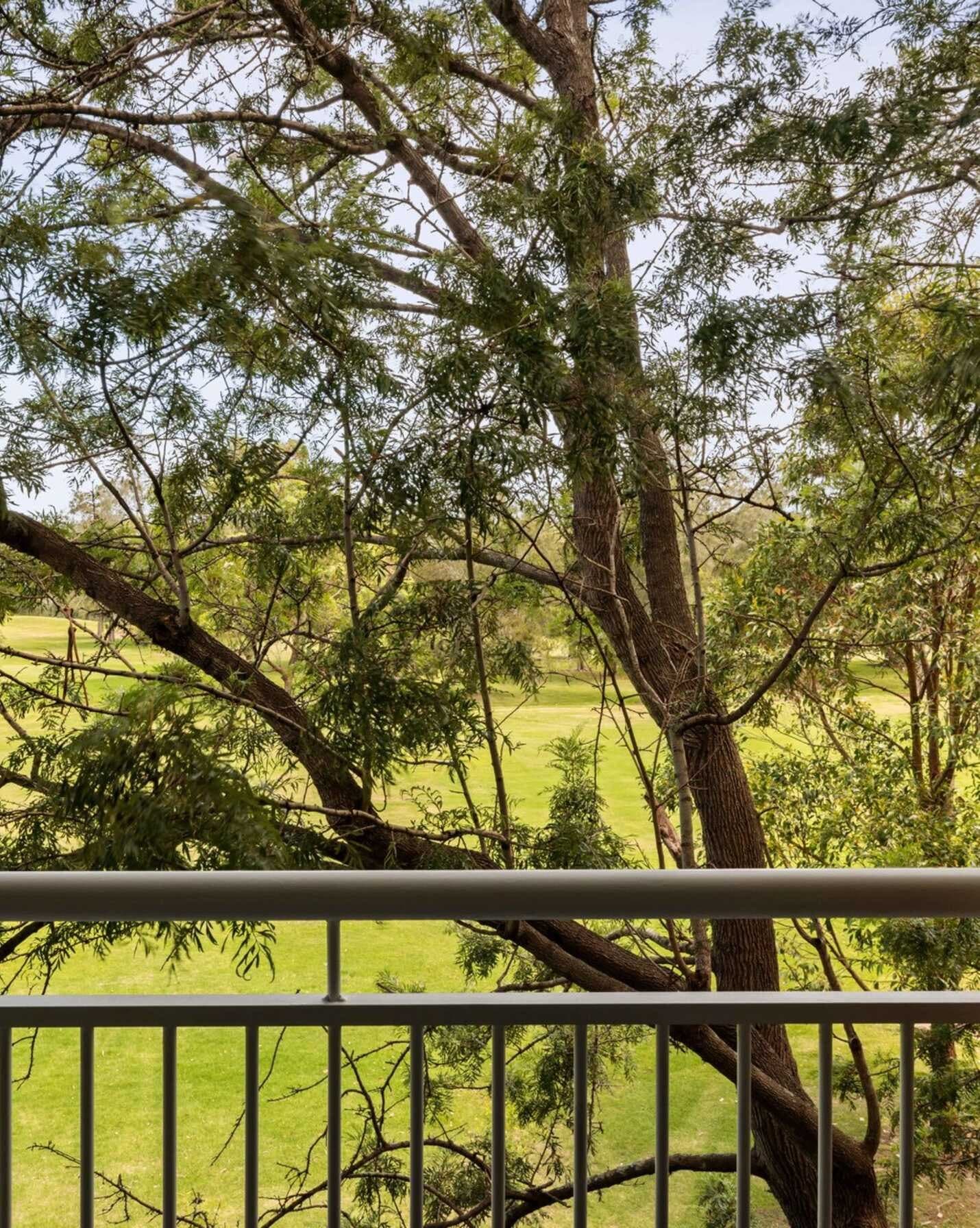 24/22 Ness Avenue Dulwich Hill, Hill - Thumbnail 3