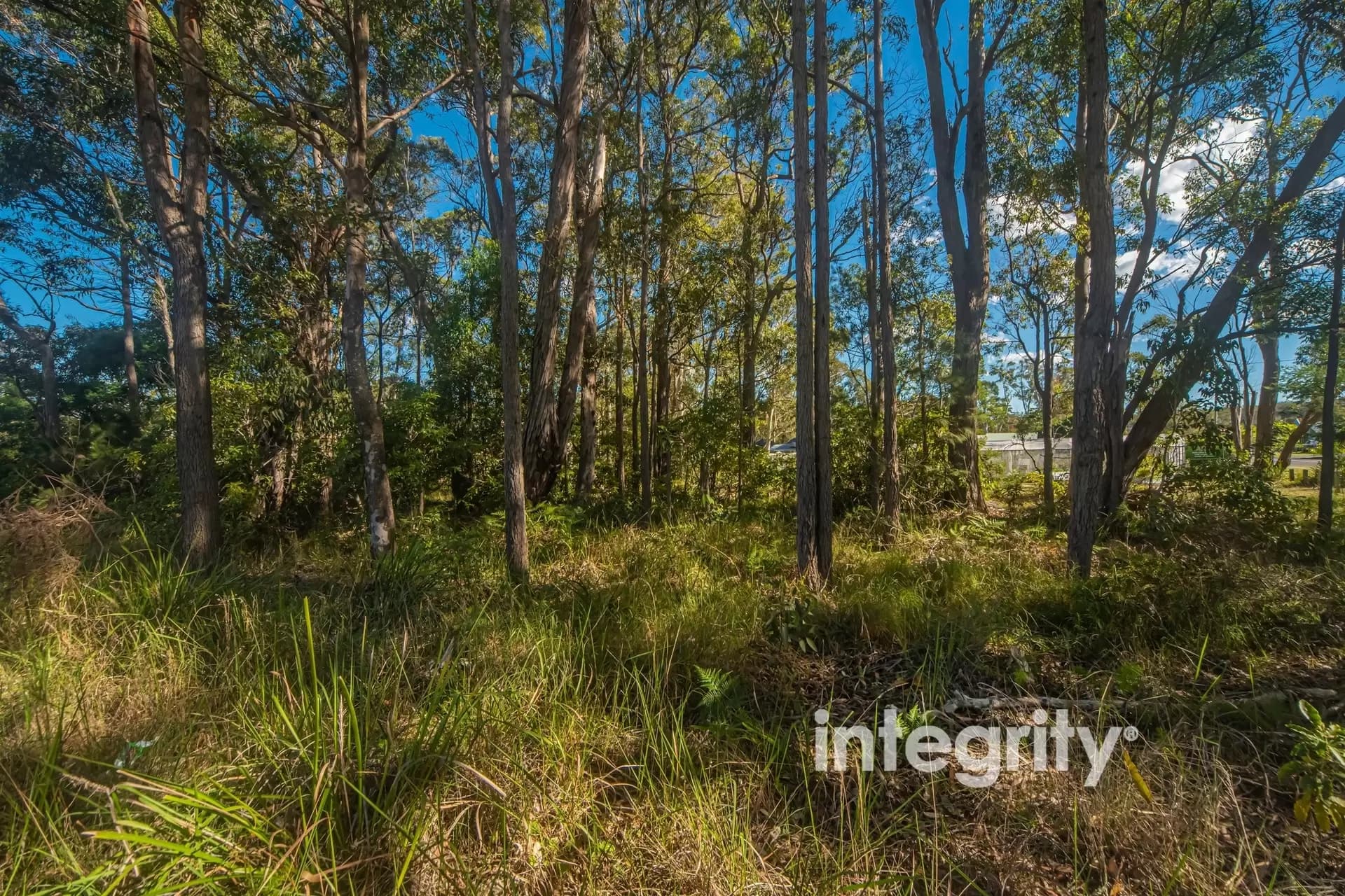 56 Emmett Street, Callala Bay, Callala Bay - Thumbnail 6